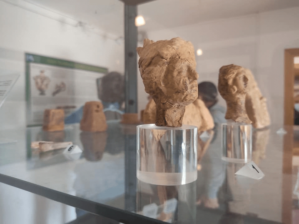 Parco archeologico Laos 8 - Meraviglie di Calabria - 8