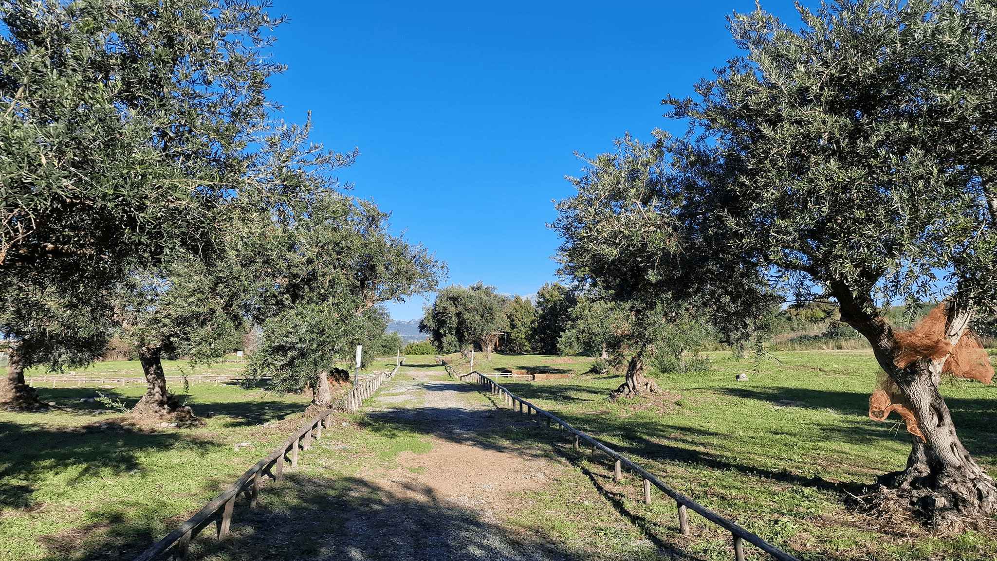 Parco archeologico Laos ph Luigi Salsini 12 - Meraviglie di Calabria - 14