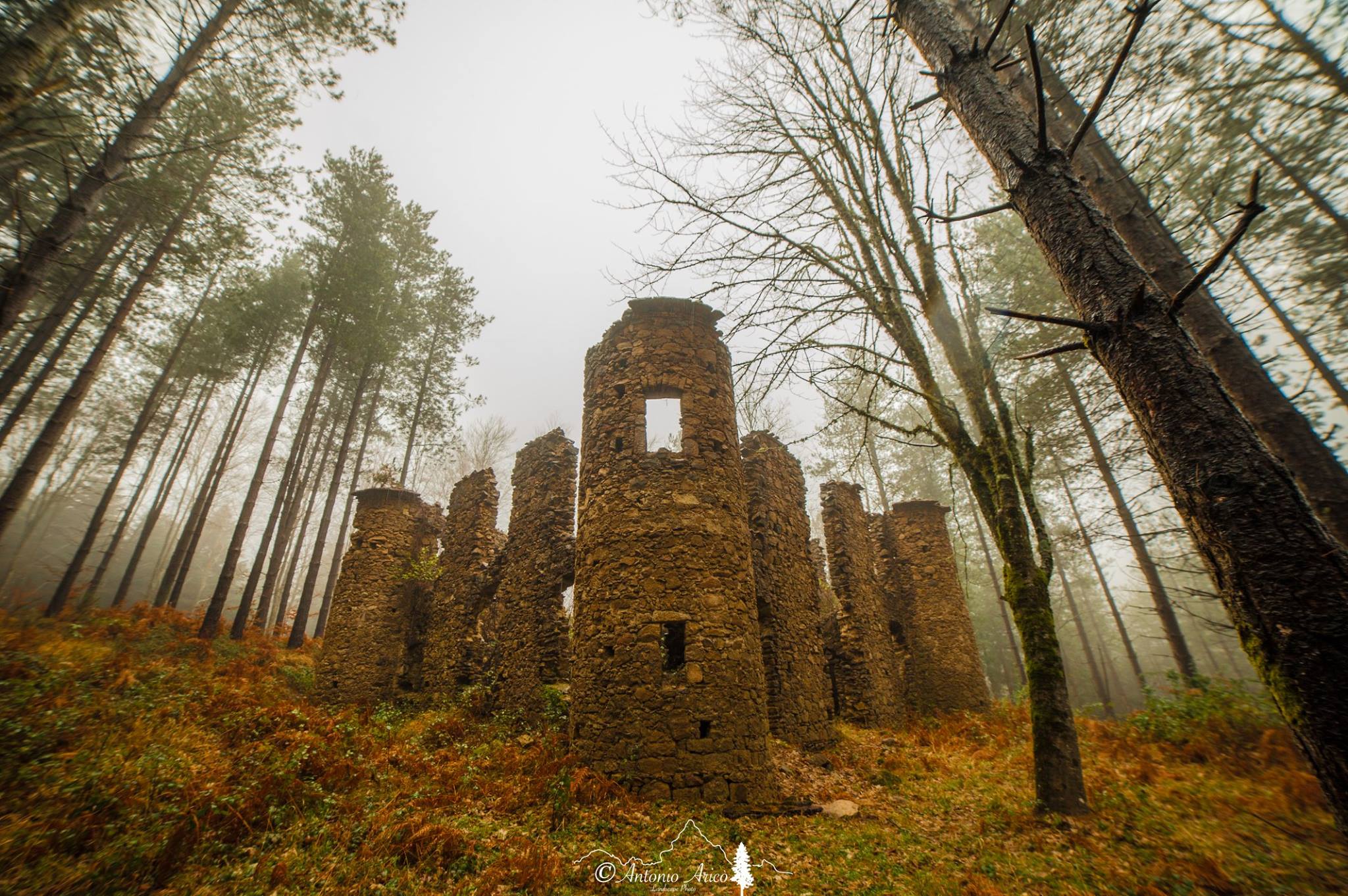 Trai boschi delle Serre, la natura e il fascino noir del Castello di Lacina