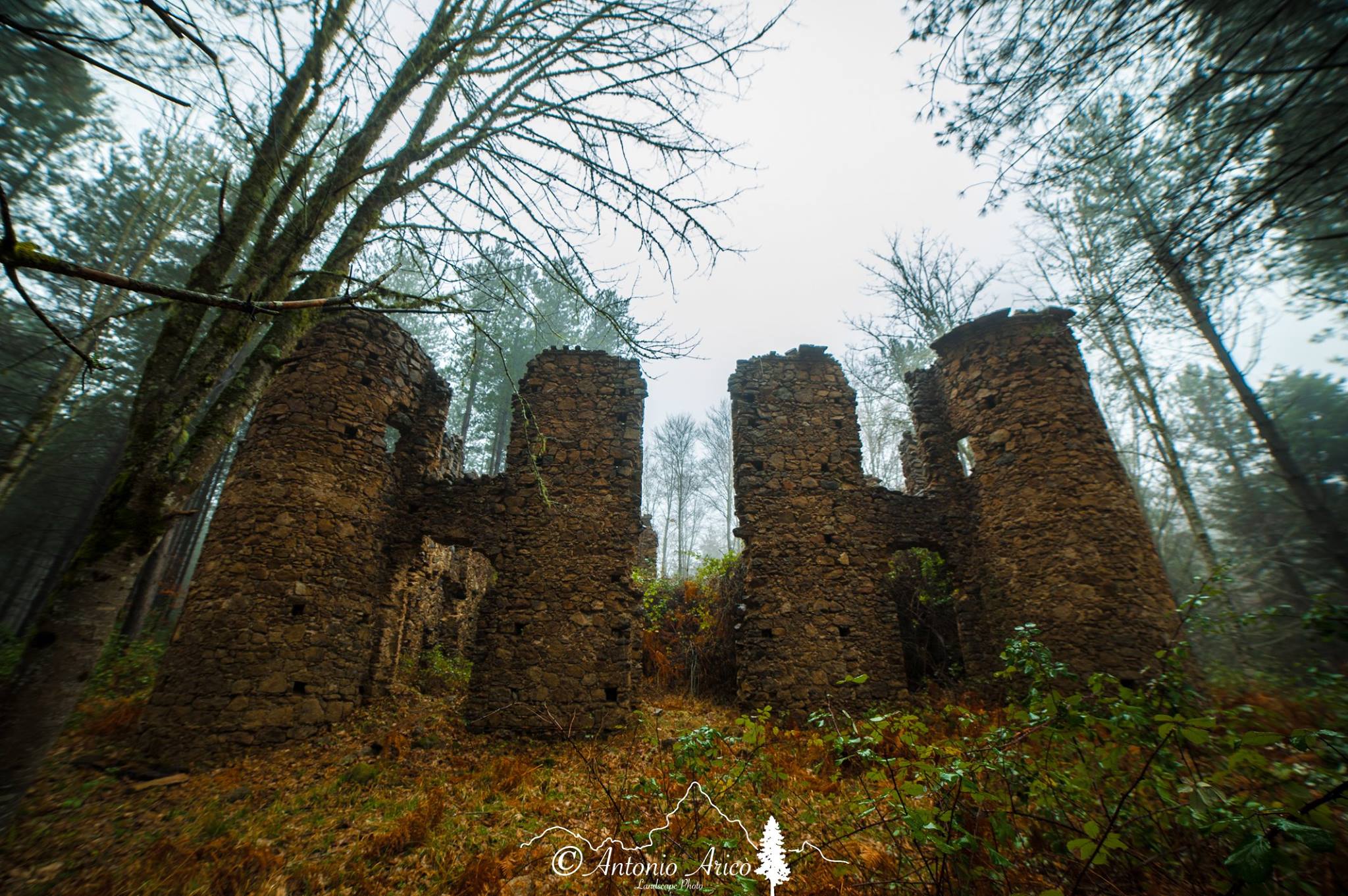 Parco delle serre castello baronessa Enrichetta Scoppa ph Antonio Arico 2 - Trai boschi delle Serre, la natura e il fascino noir del Castello di Lacina - 7 Parco delle serre castello baronessa Enrichetta Scoppa ph Antonio Arico 2 - Meraviglie di Calabria - 6