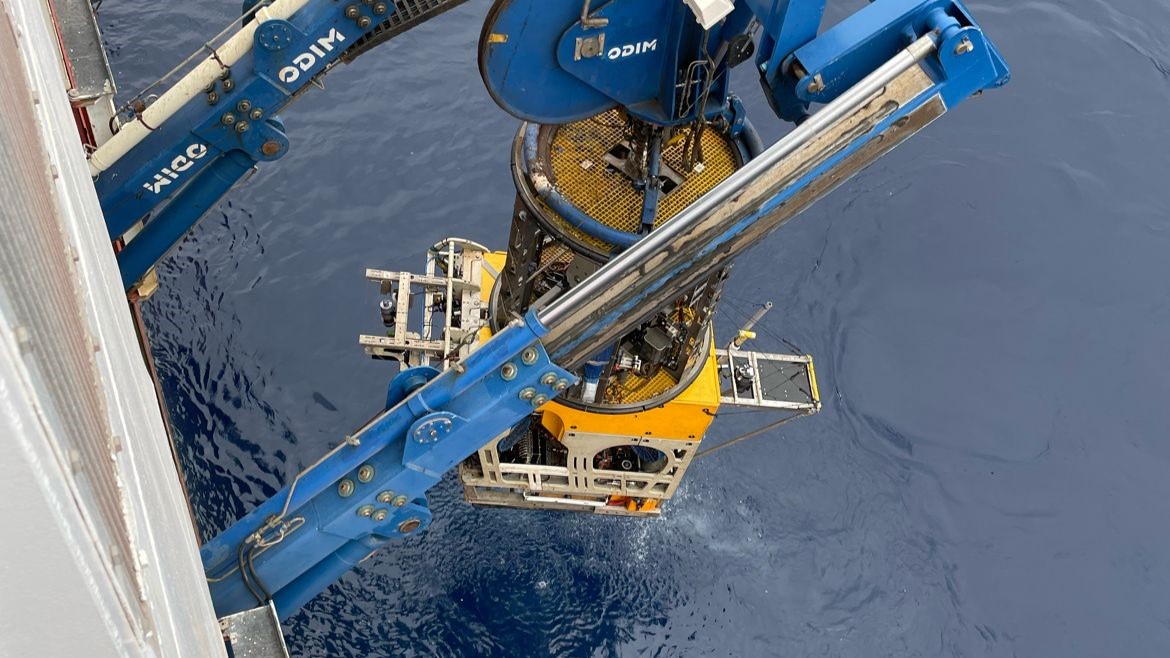 Progetto MER ispra Reggio 1 - Meraviglie di Calabria - 10
