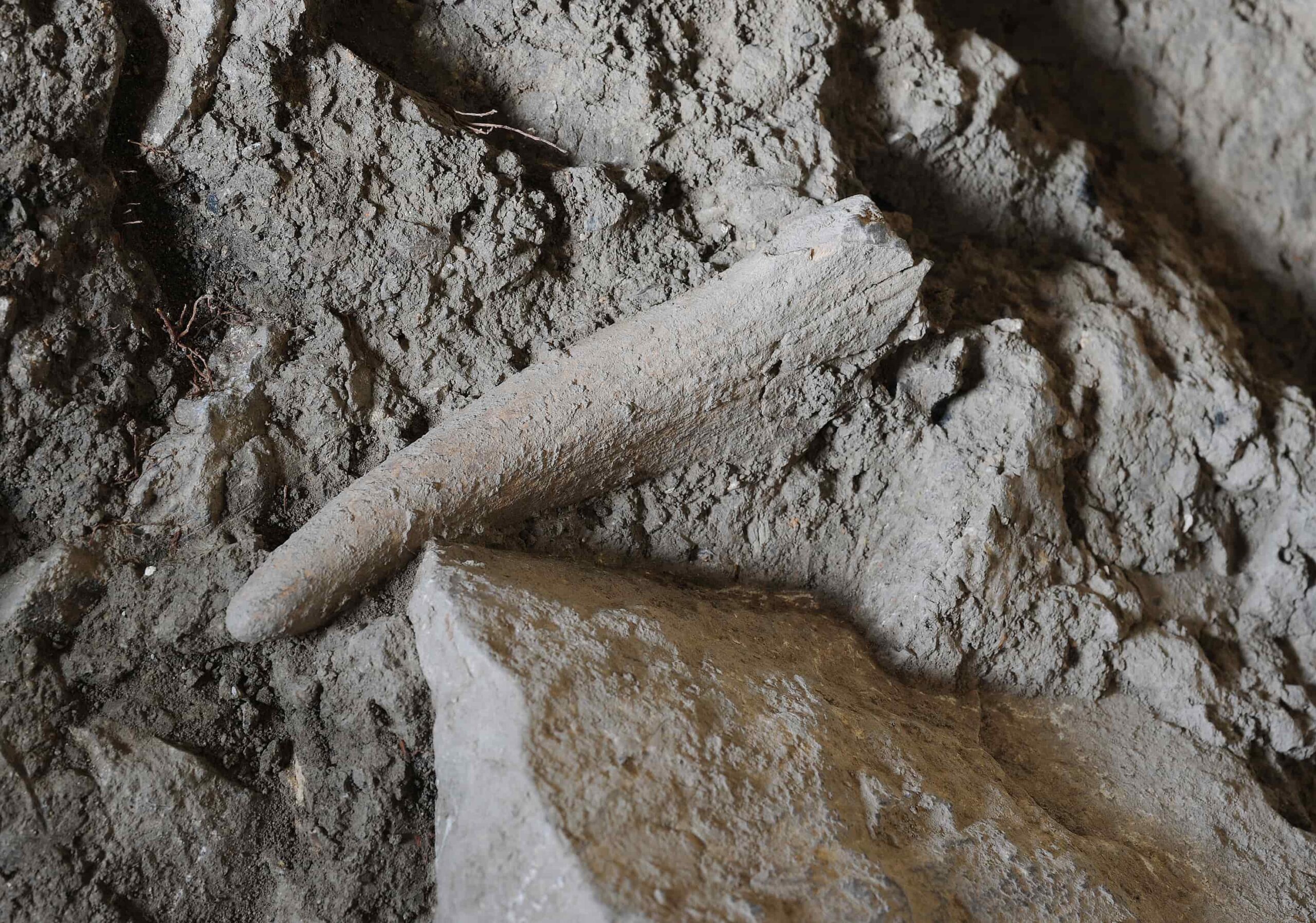 Speleologia Grotta di Pietra SantAngelo resti di fauna presenti foto archivio del C.R.S. Enzo dei Medici scaled - Meraviglie di Calabria - 10