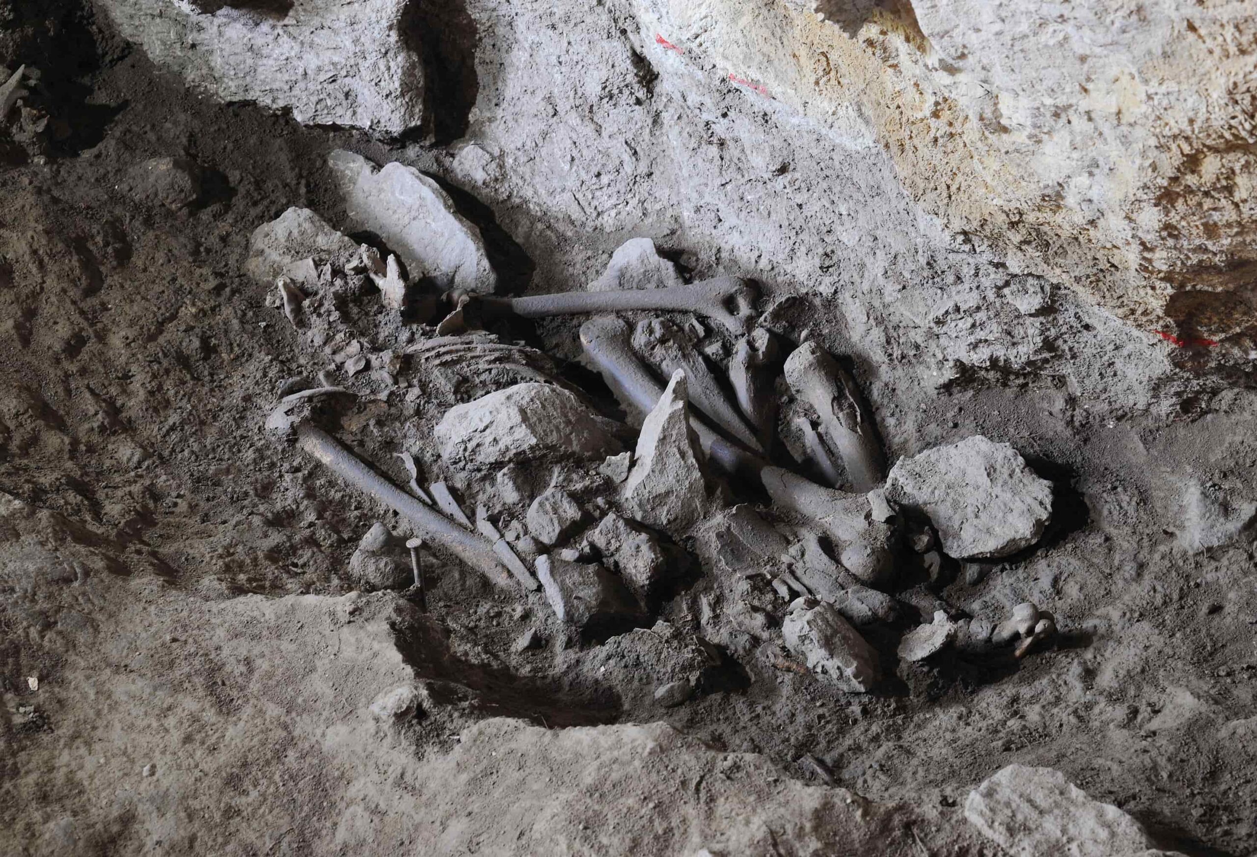 Speleologia Grotta di Pietra SantAngelo sepoltura di eta neolitica foto archivio del C.R.S. Enzo dei Medici scaled - Meraviglie di Calabria - 12