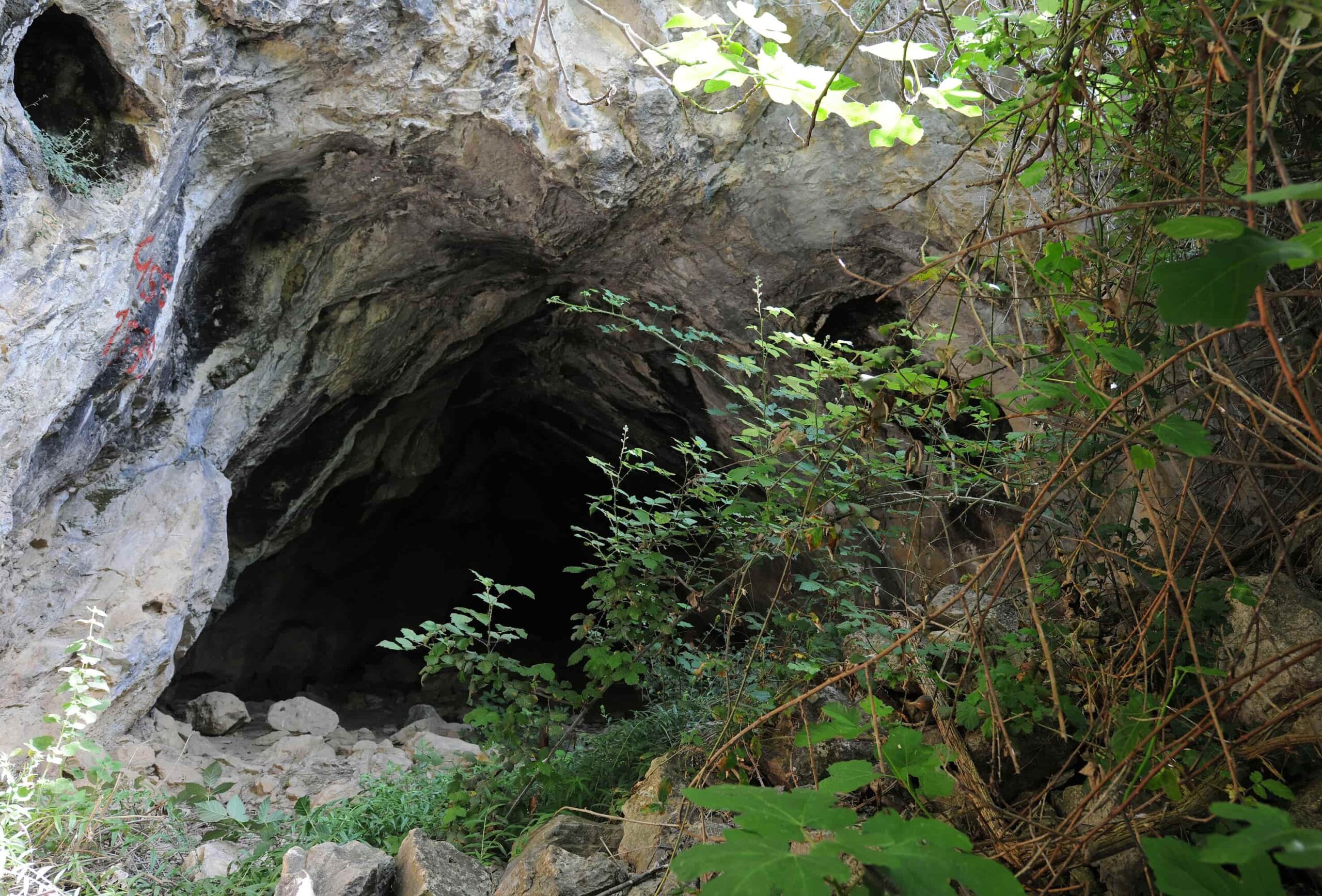 Speleologia ingresso della Grotta di Pietra SantAngelo foto archivio del C.R.S. Enzo dei Medici scaled - Meraviglie di Calabria - 2