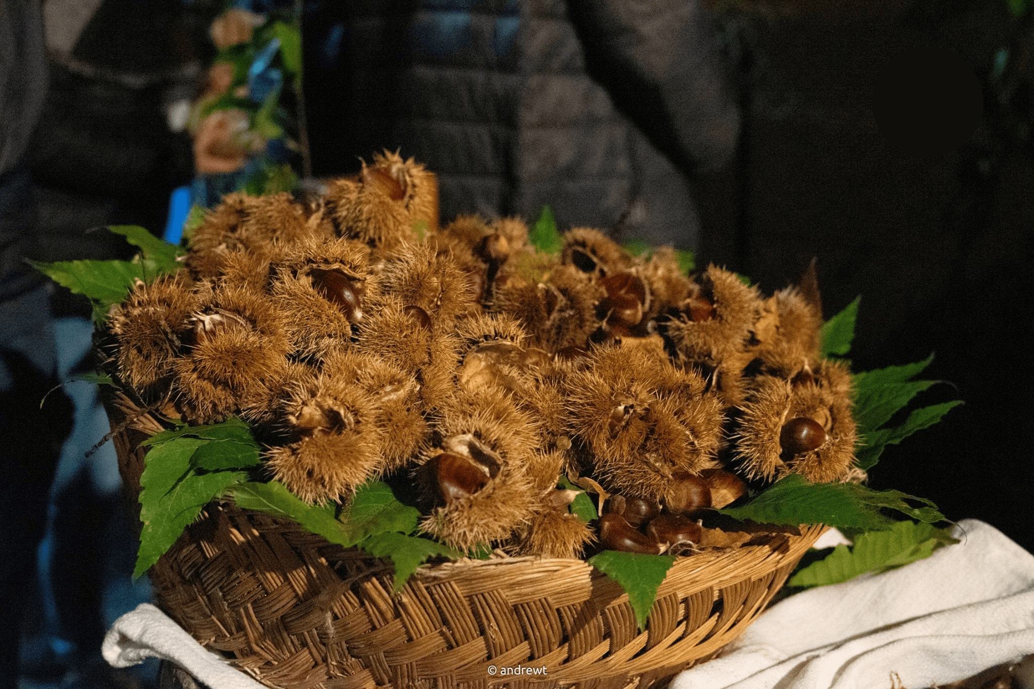 Castagna angoli Serrastretta 2 - Meraviglie di Calabria - 10