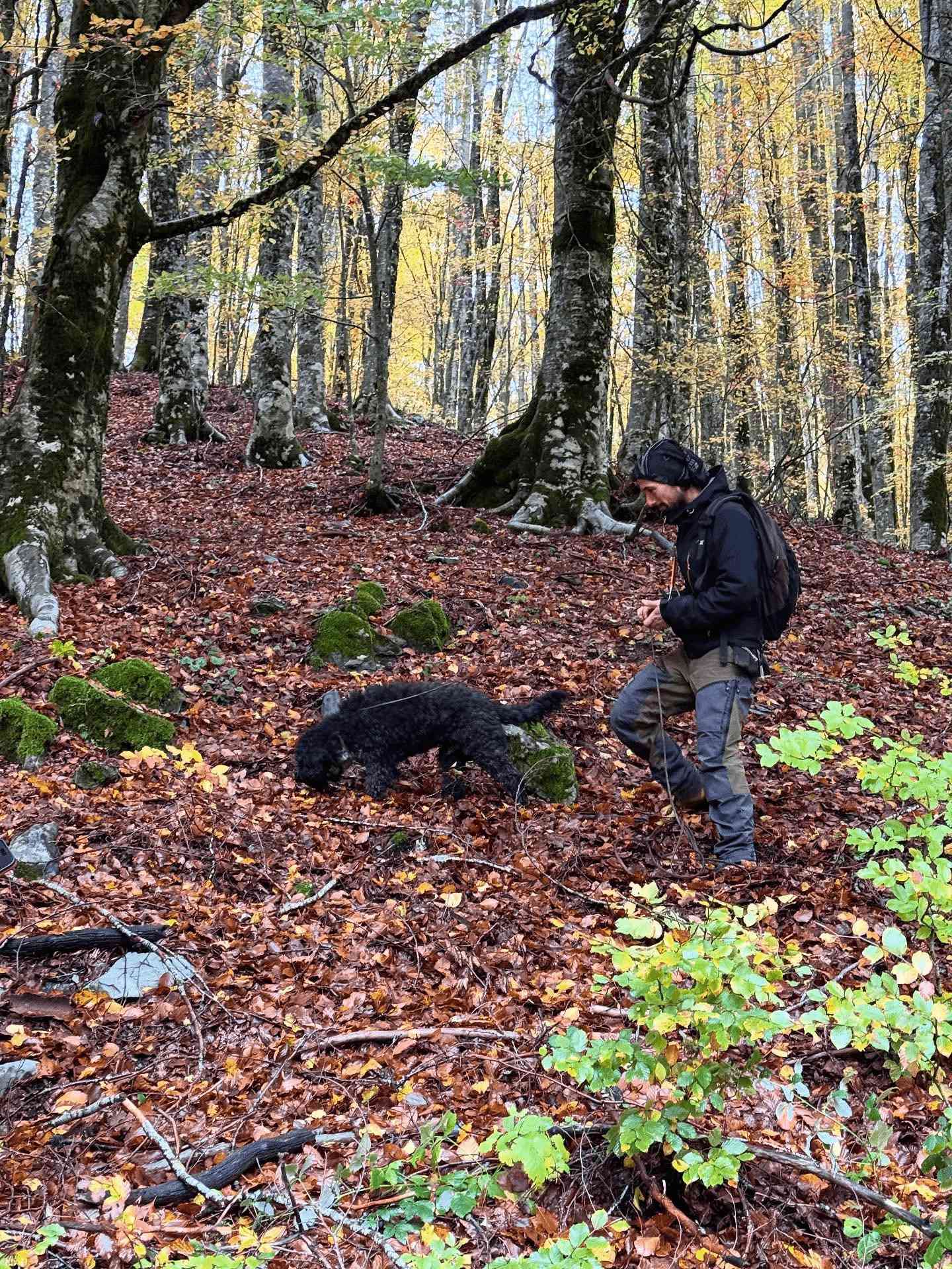 Catasta tartufo 3 - A caccia di tartufo sul Pollino, con Catasta un fine settimana di scoperte - 9 Catasta tartufo 3 - Meraviglie di Calabria - 8
