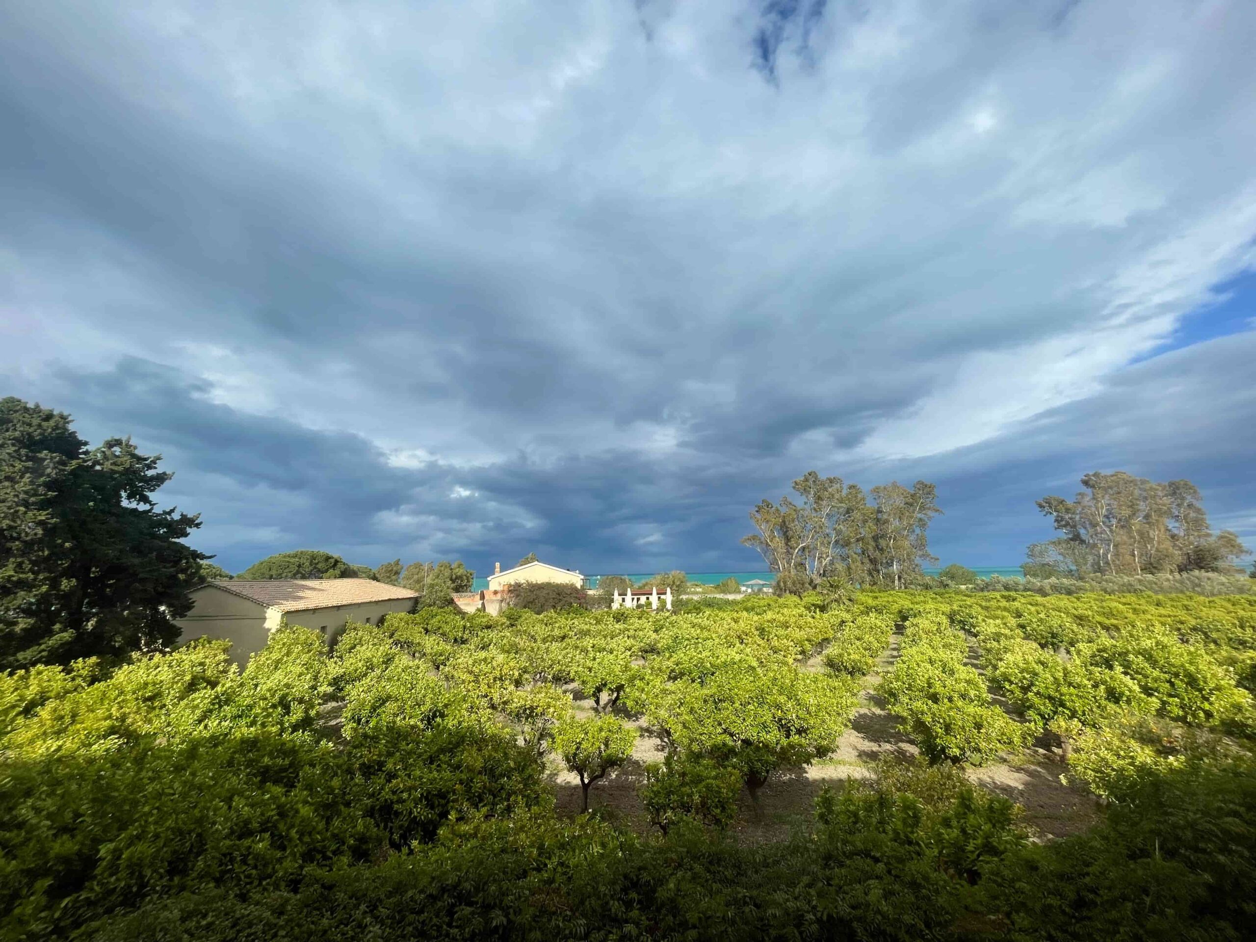 FAI villa paparo ph Anna De Riso 2 scaled - Badolato, l’autunno del FAI riscopre la bellezza dei luoghi nascosti - 59 FAI villa paparo ph Anna De Riso 2 scaled - Meraviglie di Calabria - 58