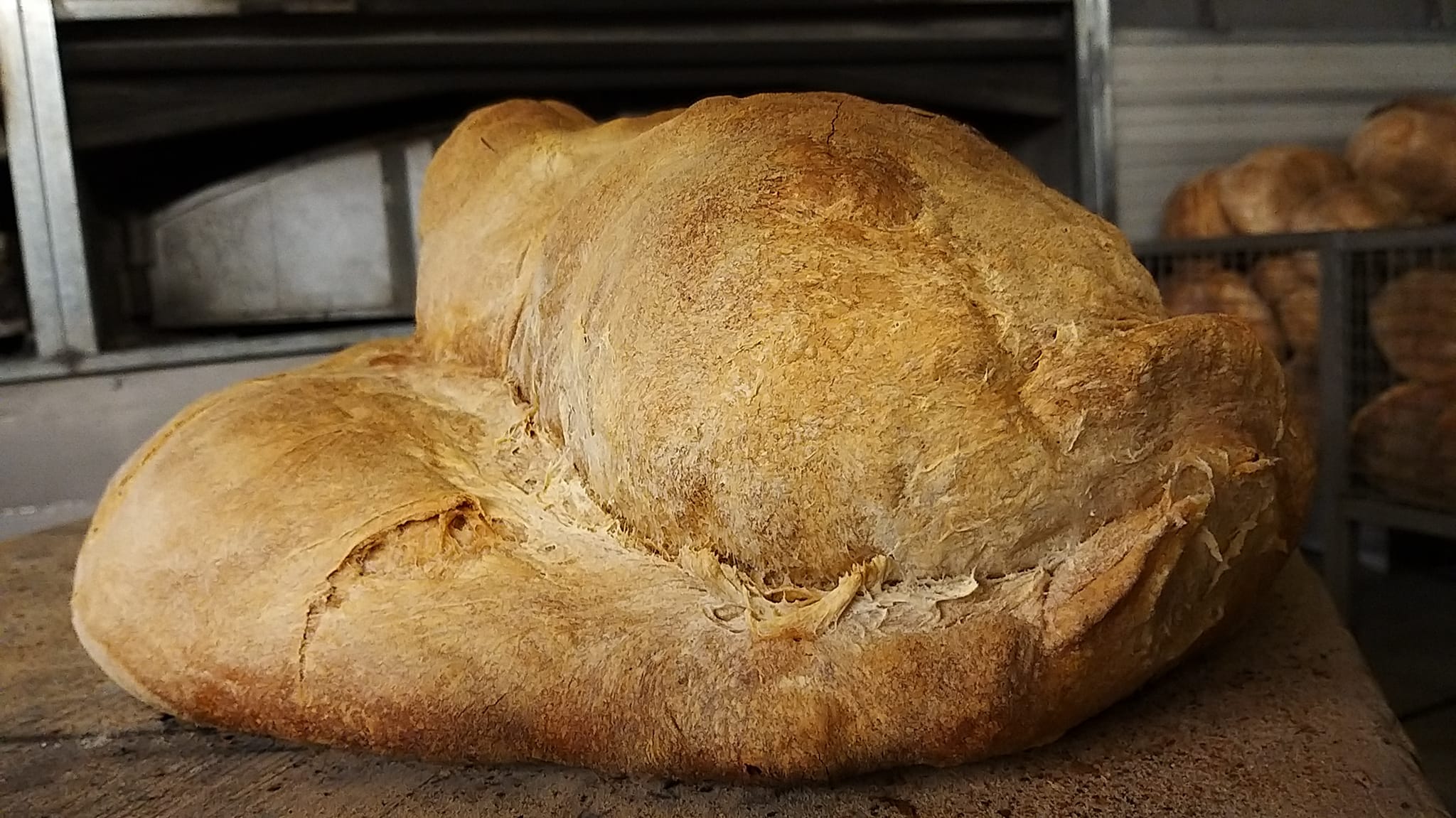 Pane cerchiara 4 - Saluti dalla Calabria, il nuovo format che svela capolavori gastronomici - 17 Pane cerchiara 4 - Meraviglie di Calabria - 16