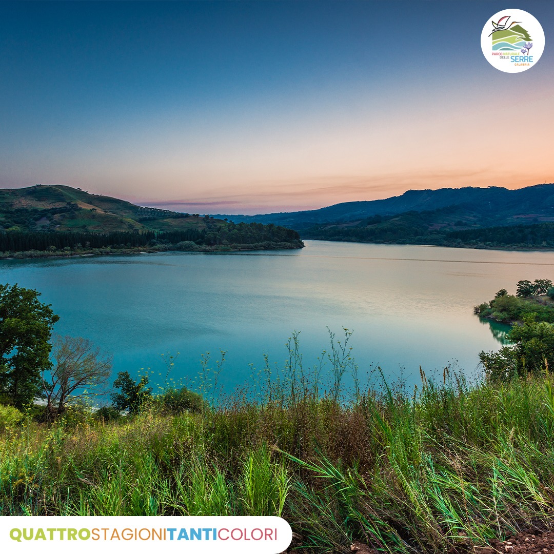 Parco Serre lago angitola - Micologi da tutta Italia nel Parco delle Serre per il Comitato dell’AMB - 21 Parco Serre lago angitola - Meraviglie di Calabria - 20