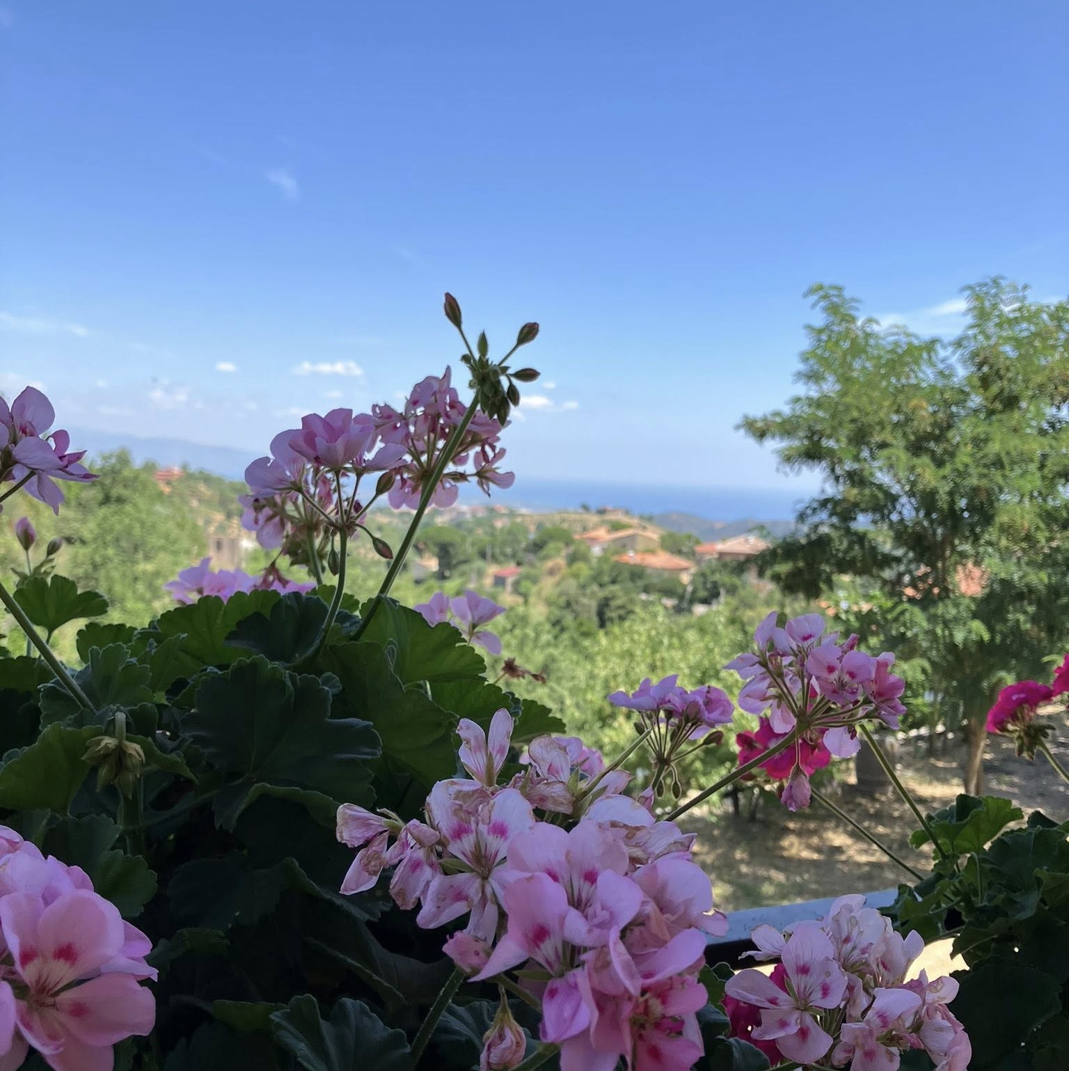 Ristorante da Mirko Acri 18 - Meraviglie di Calabria - 8