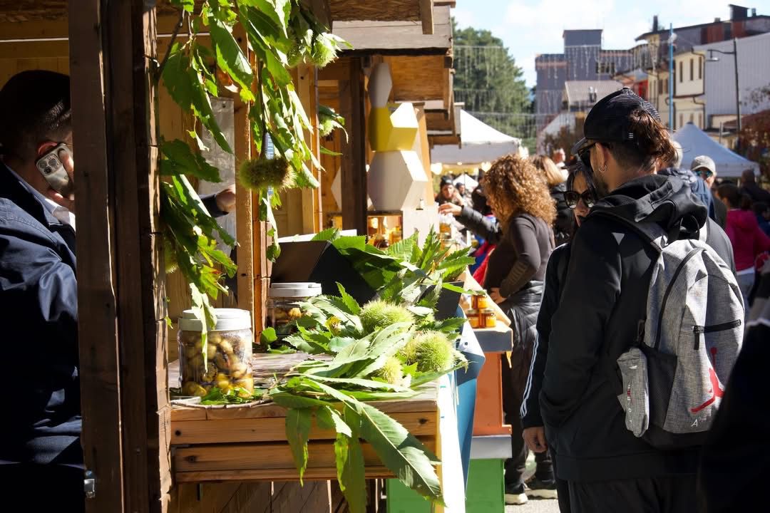 Sila camigliatello sagra fungo 4 - Turismo esperienziale in Calabria, a Falerna il primo forum dedicato - 5 Sila camigliatello sagra fungo 4 - Meraviglie di Calabria - 4