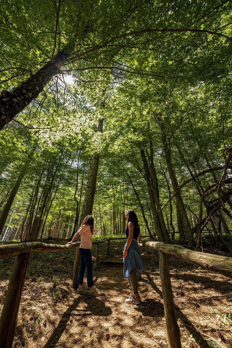 Spezzano della Sila CS Giganti della Sila Foto Studio Larus 2019 © FAI Fondo Ambiente Italiano - Sul magazine di Trenitalia i Parchi calabresi tra le mete di primavera - 11 Spezzano della Sila CS Giganti della Sila Foto Studio Larus 2019 © FAI Fondo Ambiente Italiano - Meraviglie di Calabria - 10
