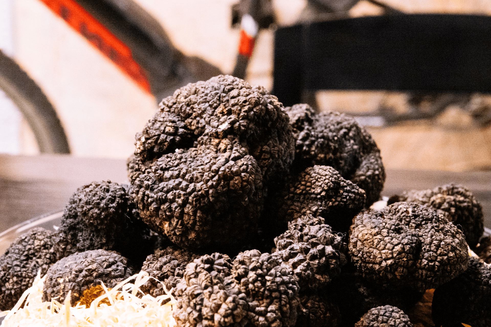 Tartufo 3 - A caccia di tartufo sul Pollino, con Catasta un fine settimana di scoperte - 5 Tartufo 3 - Meraviglie di Calabria - 4