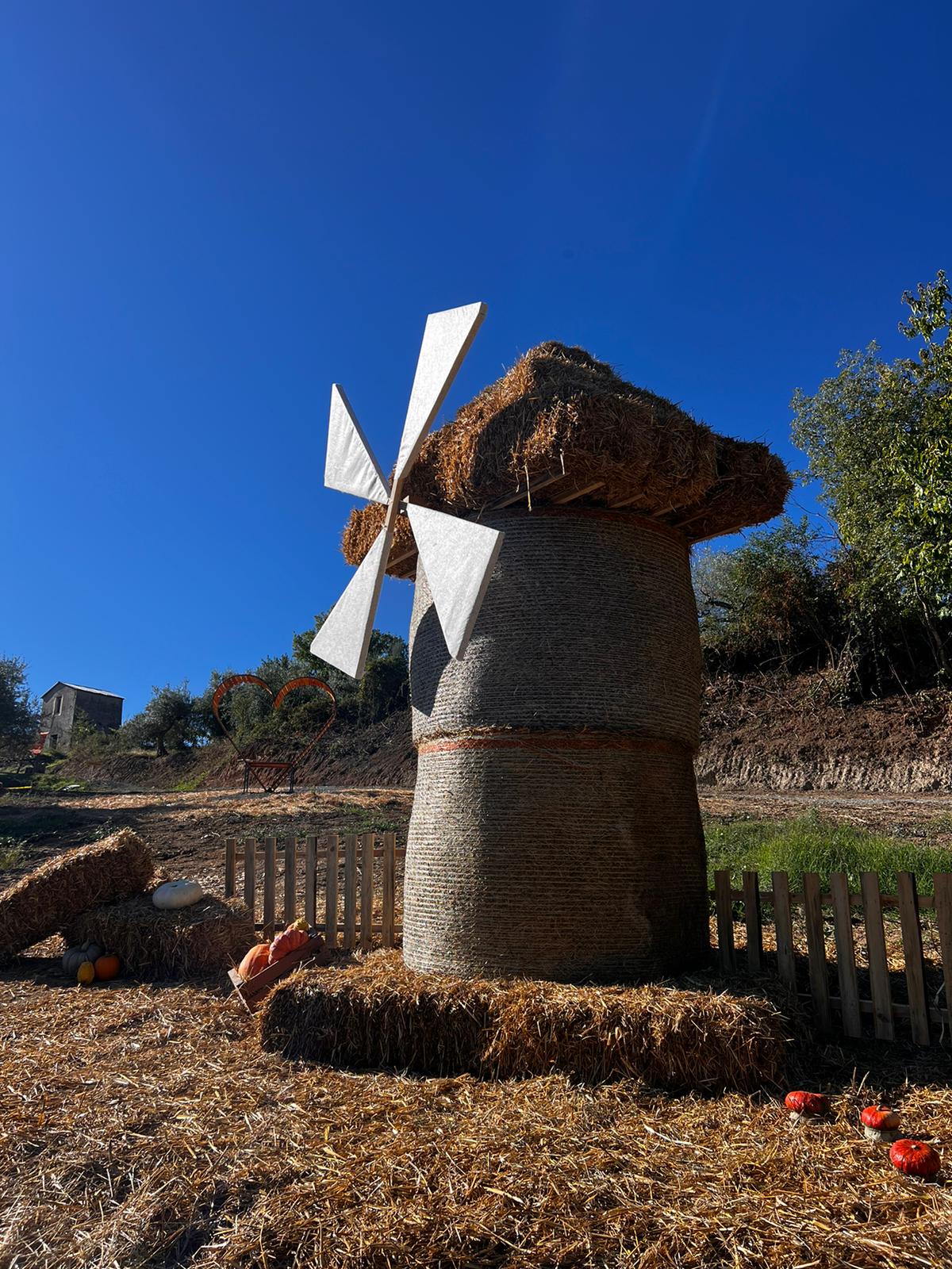 Valle delle zucche 2 - Il cuore (arancione) dell’autunno, la magia della Vallata delle Zucche - 23 Valle delle zucche 2 - Meraviglie di Calabria - 22