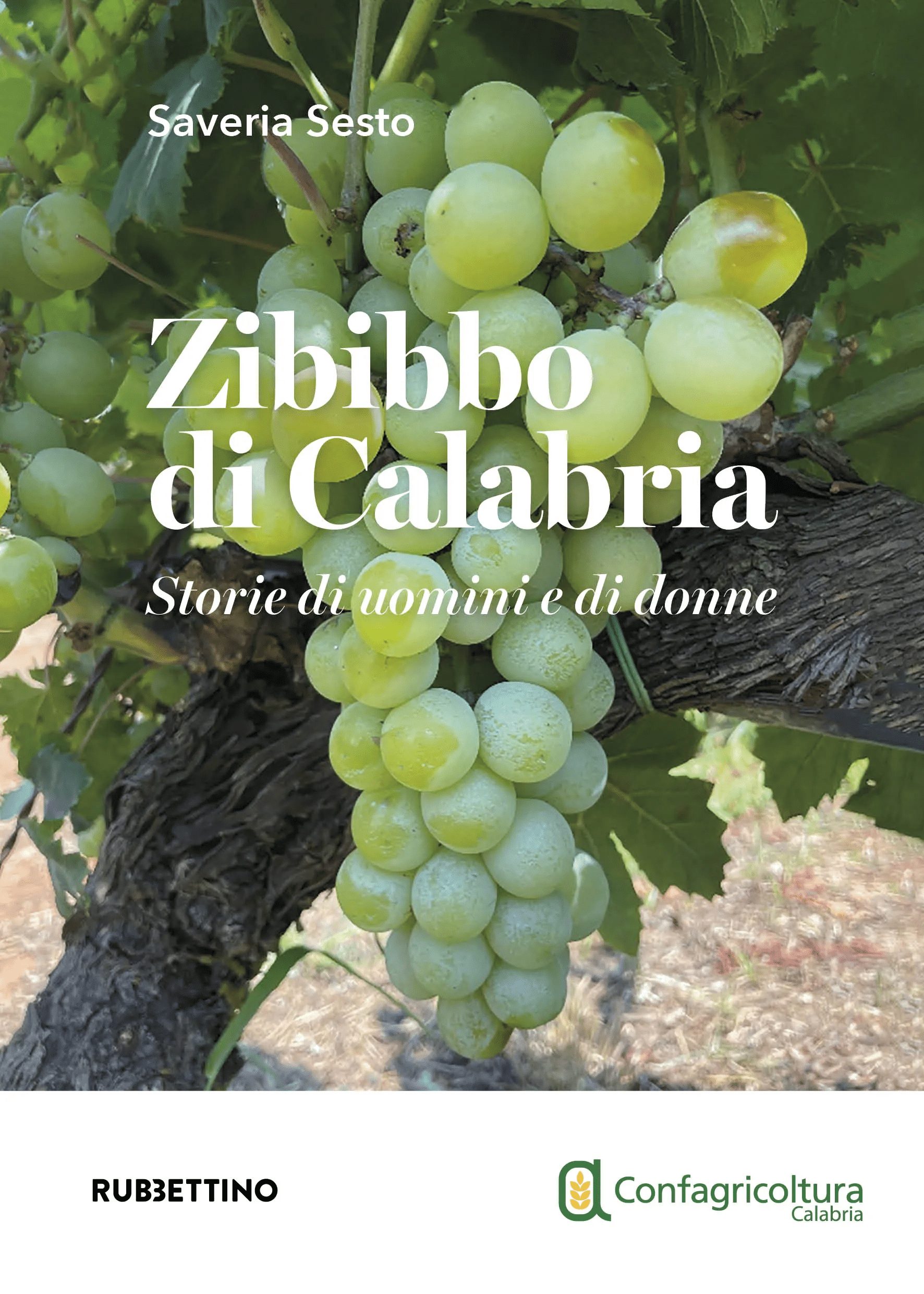 Zibibbo di Calabria Saveria Sesto - Primo premio nazionale per il libro "Zibibbo di Calabria" di Saveria Sesto - 3 Zibibbo di Calabria Saveria Sesto - Meraviglie di Calabria - 2