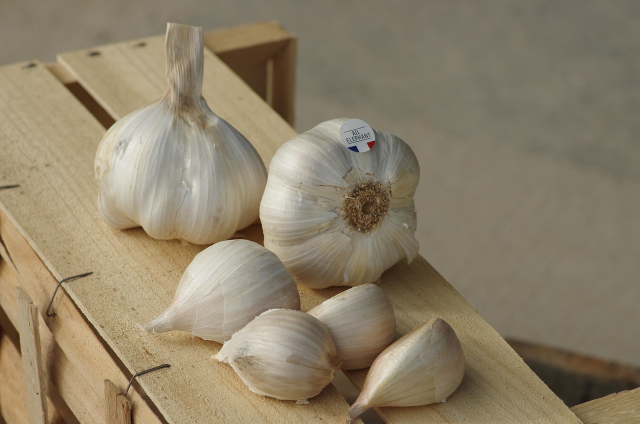 aglio 2 - Aglio di Laino Borgo, storia di biodiversità tra le eccellenze italiane - 7 aglio 2 - Meraviglie di Calabria - 6