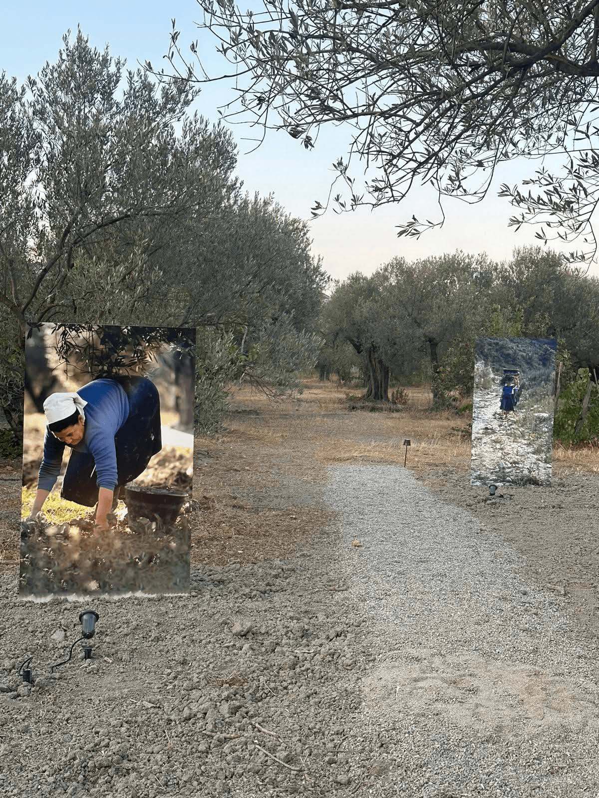 badolato orto darte respiraterra 5 - Badolato, l’autunno del FAI riscopre la bellezza dei luoghi nascosti - 57 badolato orto darte respiraterra 5 - Meraviglie di Calabria - 56