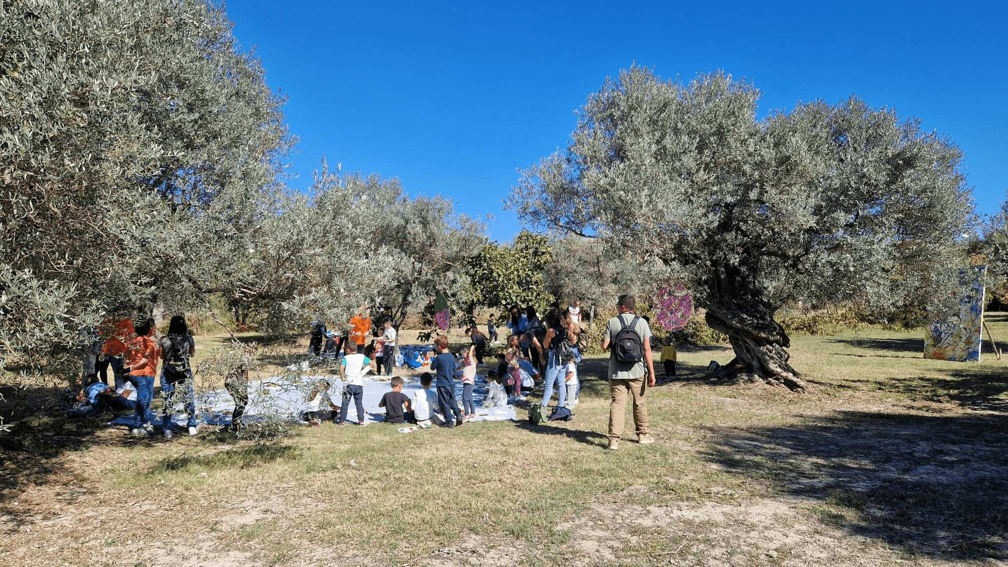 badolato orto darte respiraterra - Badolato, l’autunno del FAI riscopre la bellezza dei luoghi nascosti - 55 badolato orto darte respiraterra - Meraviglie di Calabria - 54