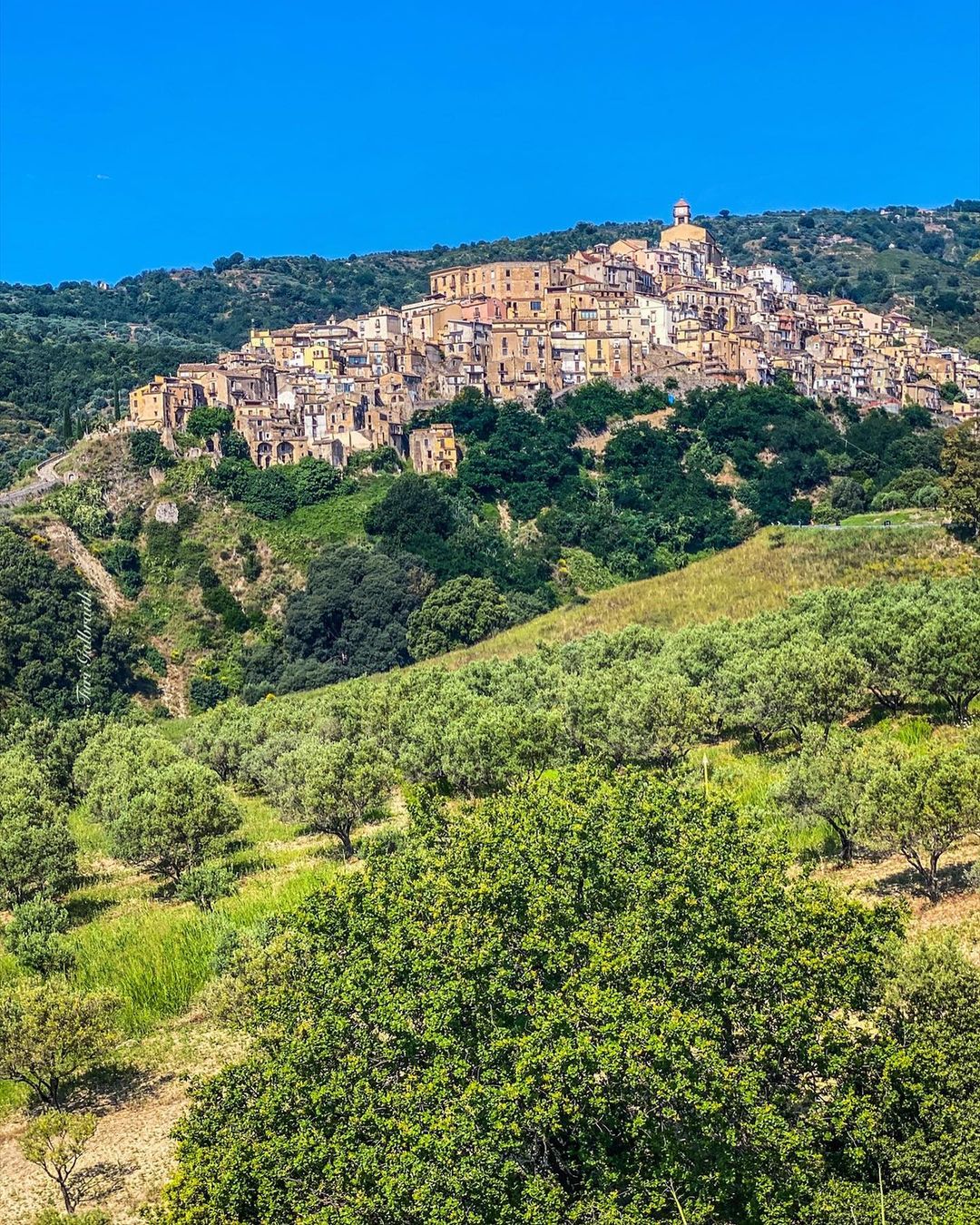 badolato ph @turigaltravels 5 - Badolato, l’autunno del FAI riscopre la bellezza dei luoghi nascosti - 63 badolato ph @turigaltravels 5 - Meraviglie di Calabria - 62