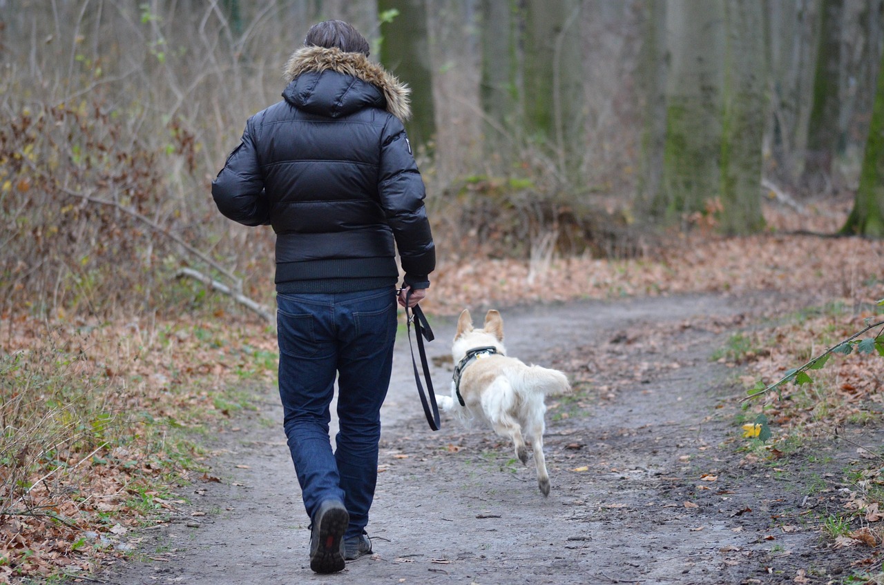 cane trekking - Meraviglie di Calabria - 2