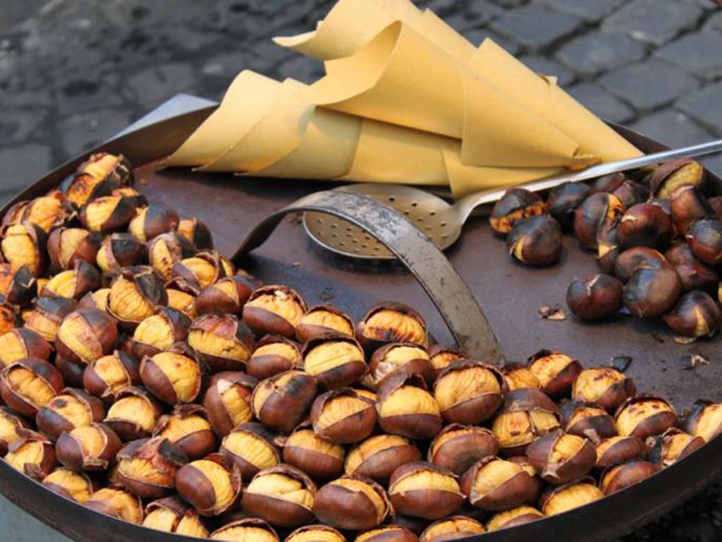 castagne 5 - Sopra l'albero, il pane. La ricchezza della castanicoltura calabrese - 23 castagne 5 - Meraviglie di Calabria - 22