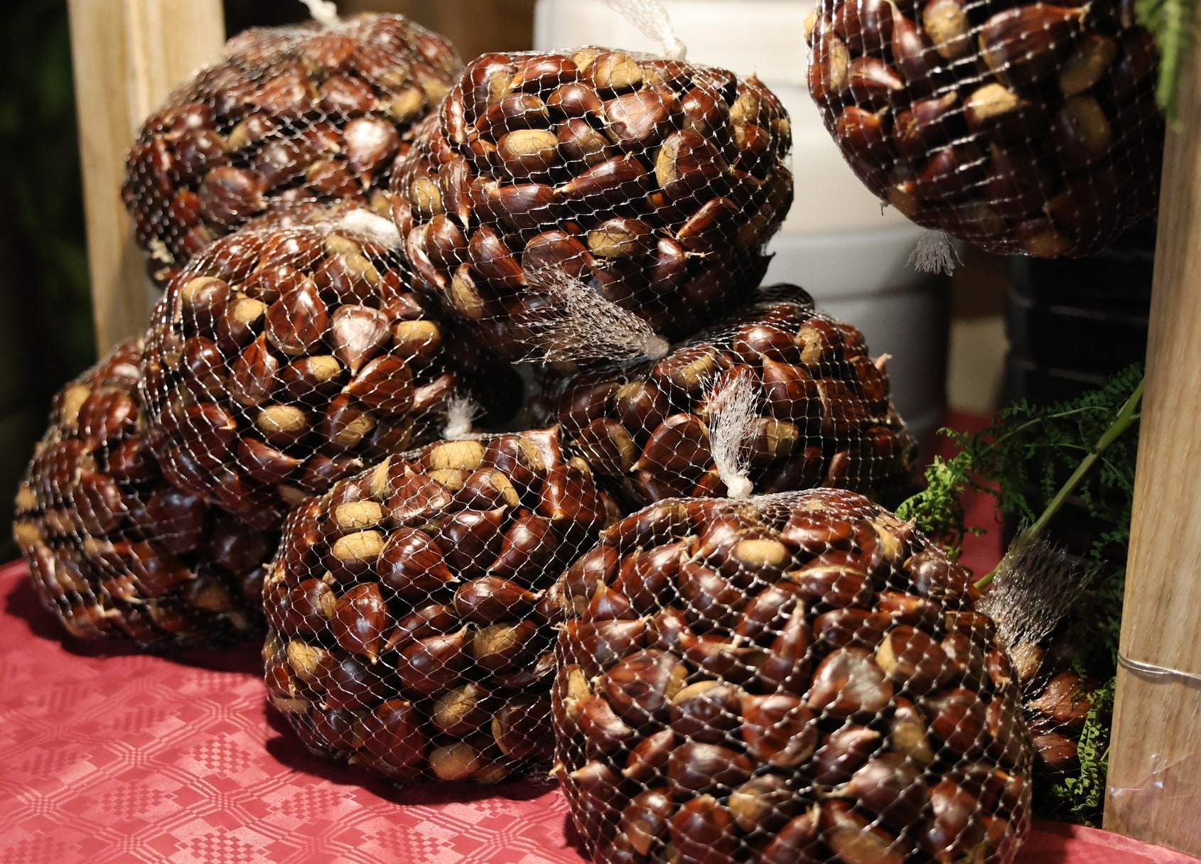 castagne 6 - Sopra l'albero, il pane. La ricchezza della castanicoltura calabrese - 15 castagne 6 - Meraviglie di Calabria - 14