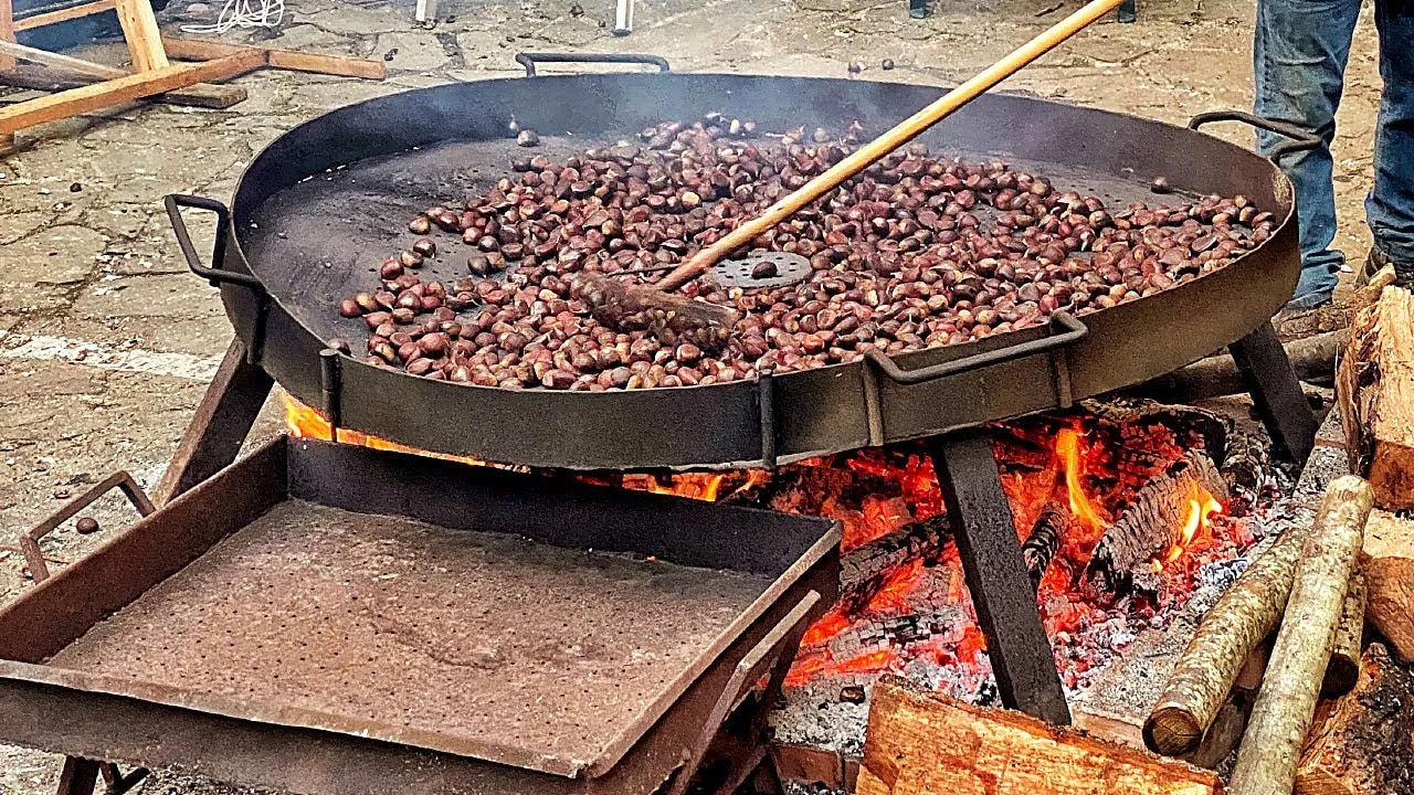 castagne sagra della Castagna a SantAgata di Esaro - Sopra l'albero, il pane. La ricchezza della castanicoltura calabrese - 27 castagne sagra della Castagna a SantAgata di Esaro - Meraviglie di Calabria - 26