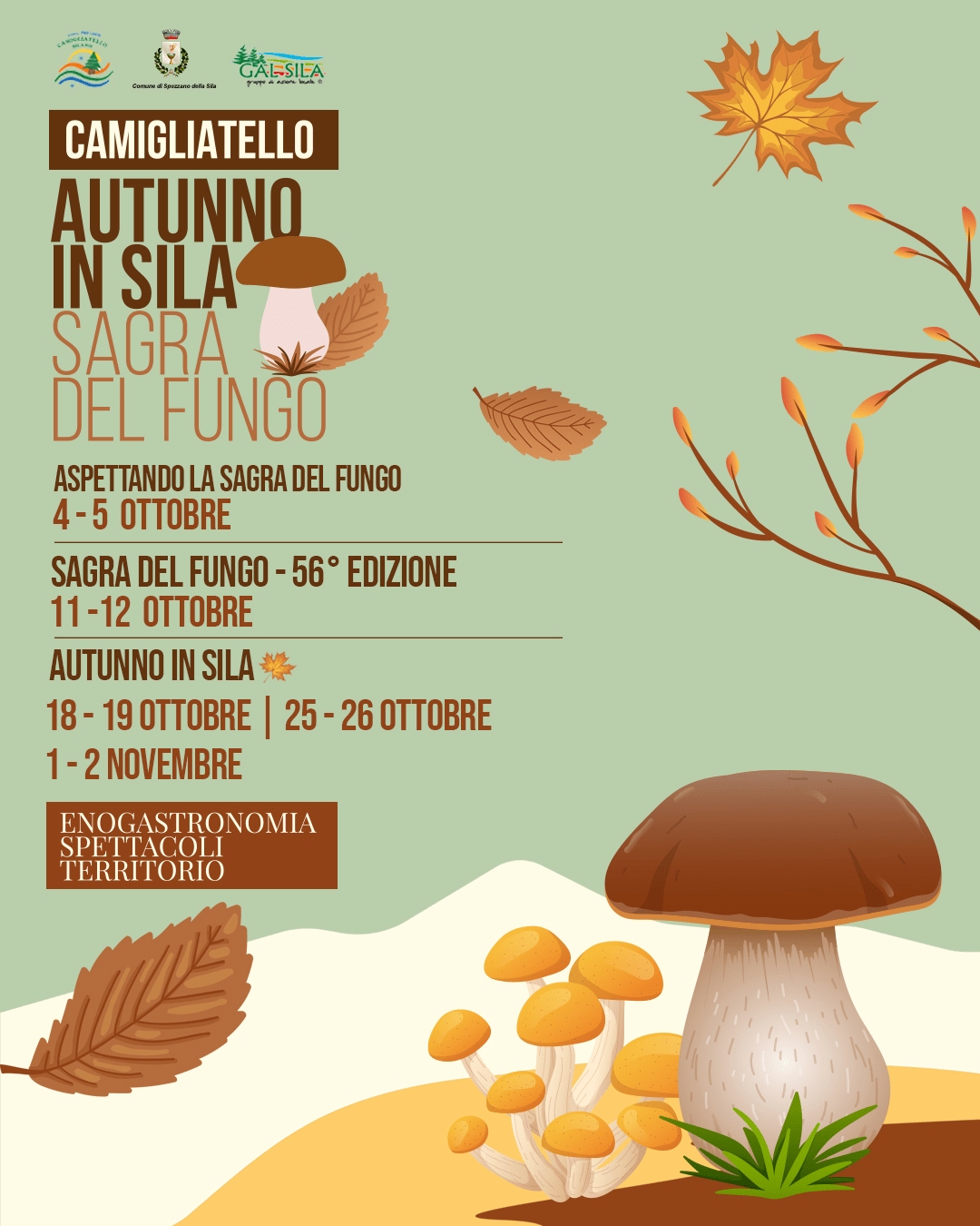 sagra fungo2025 - Sapori e colori d’autunno alla Sagra del Fungo di Camigliatello Silano - 7 sagra fungo2025 - Meraviglie di Calabria - 6