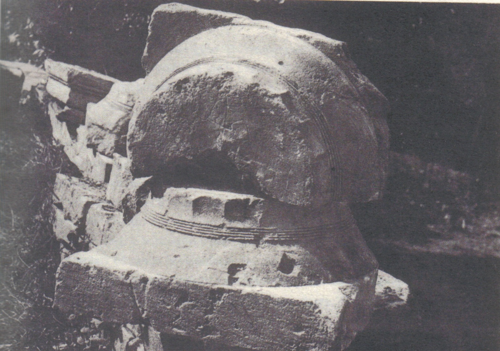 25 CiroMarina REL SPECIALISTICHE 13 - Meraviglie di Calabria - 184