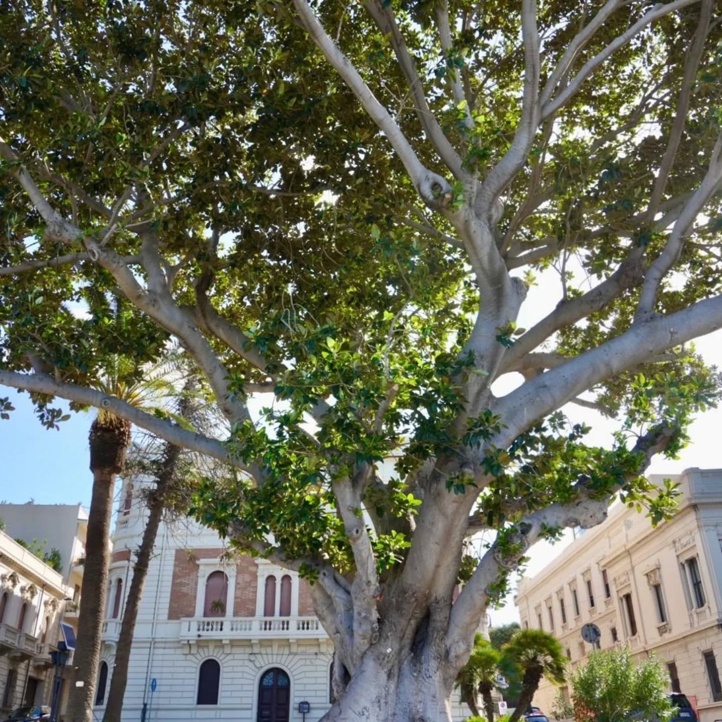 Alessandro Borghese 12 - Alessandro Borghese a Reggio Calabria, quattro giorni “pazzeschi” - 7 Alessandro Borghese 12 - Meraviglie di Calabria - 6