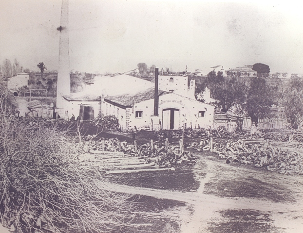 Amarelli Fabbrica di liquirizia Amarelli in Calabria - Meraviglie di Calabria - 4