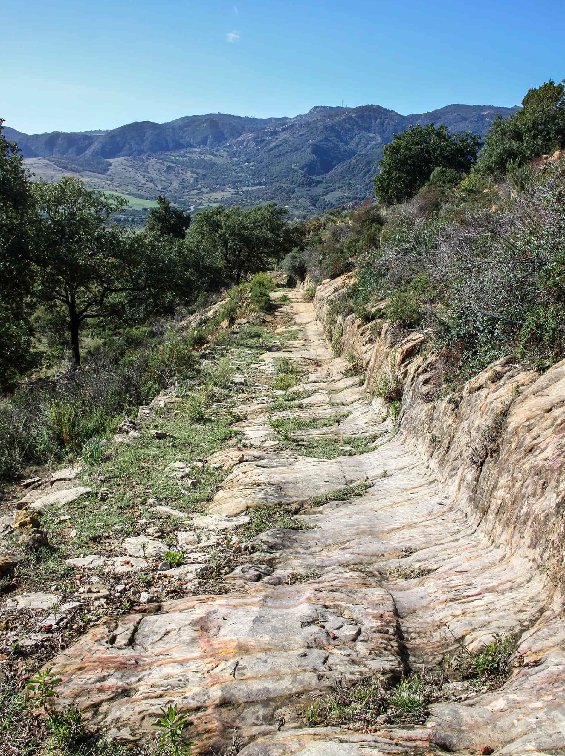 Ferruzzano ‘A carrera di Cunsulari - I Sentieri dimenticati, in Aspromonte lungo ‘A carrera di Cunsulari' - 3 Ferruzzano ‘A carrera di Cunsulari - Meraviglie di Calabria - 2