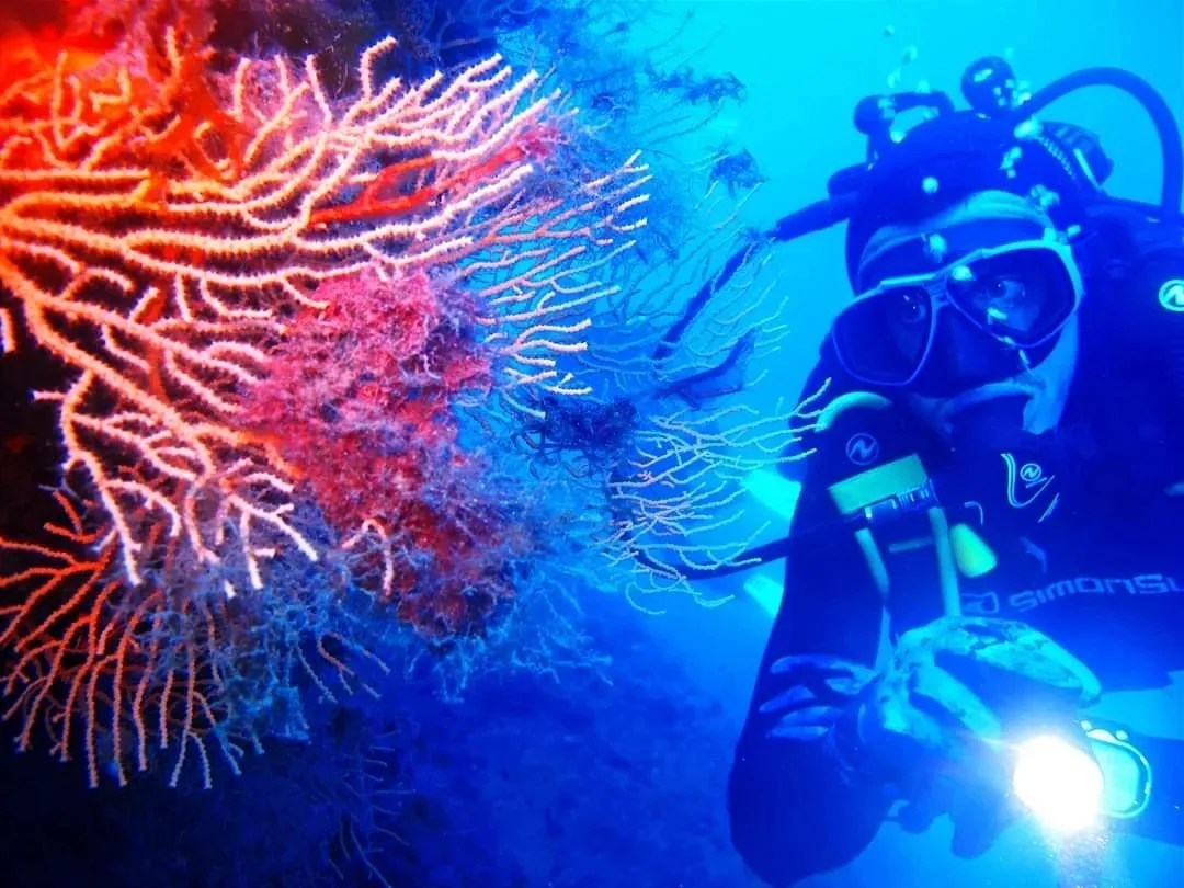 Mare sub Ph @francescoilmicio 1 - Meraviglie di Calabria - 4