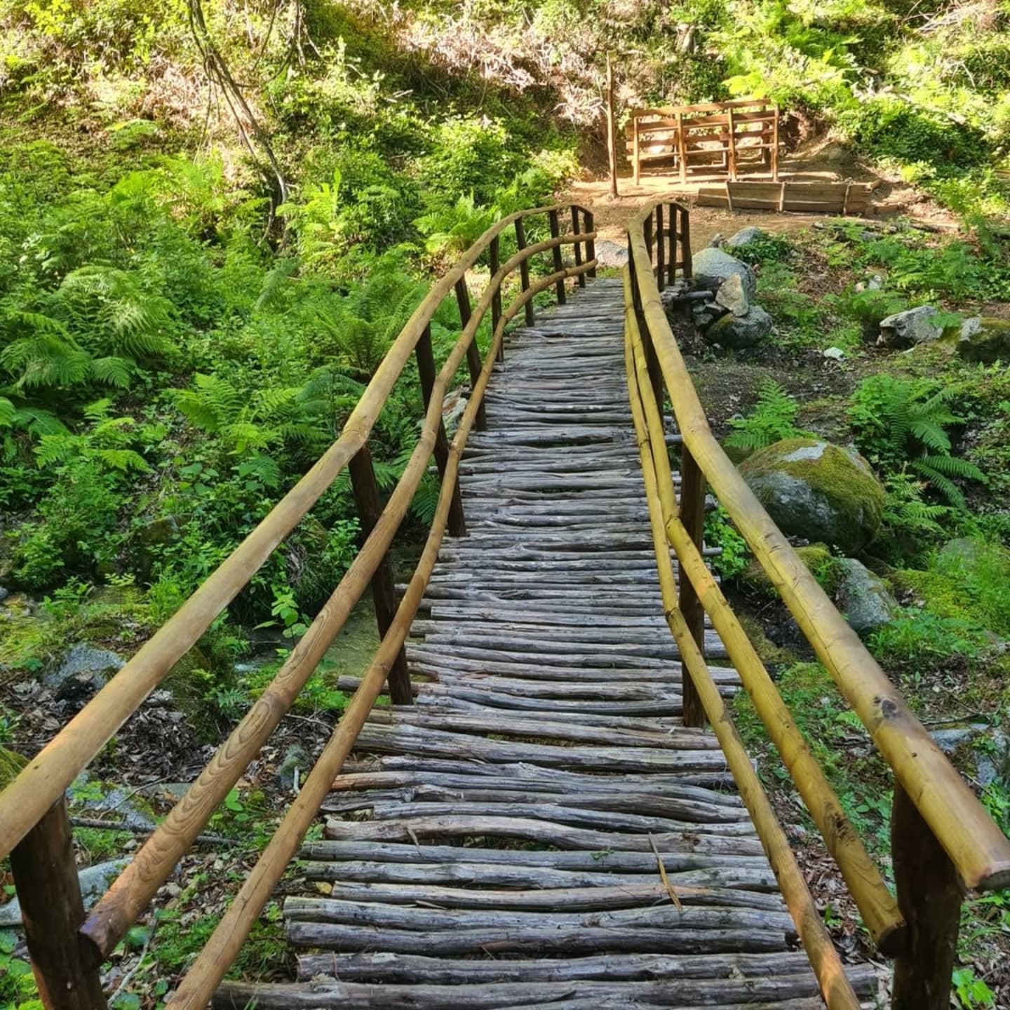 Montagna Sentiero del brigante Momo Ph @gianpiero taverniti - A passo lento, dall'Aspromonte al Pollino scoprire la "Calabria a Piedi" - 7 Montagna Sentiero del brigante Momo Ph @gianpiero taverniti - Meraviglie di Calabria - 6