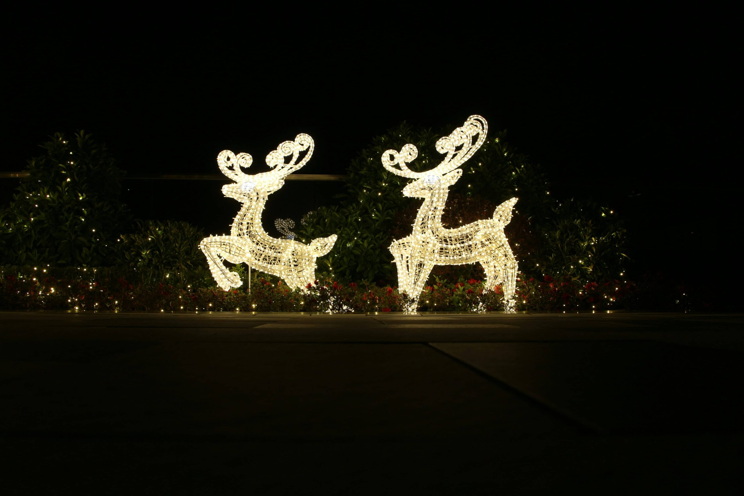 Natale Luminarie scaled - Meraviglie di Calabria - 4