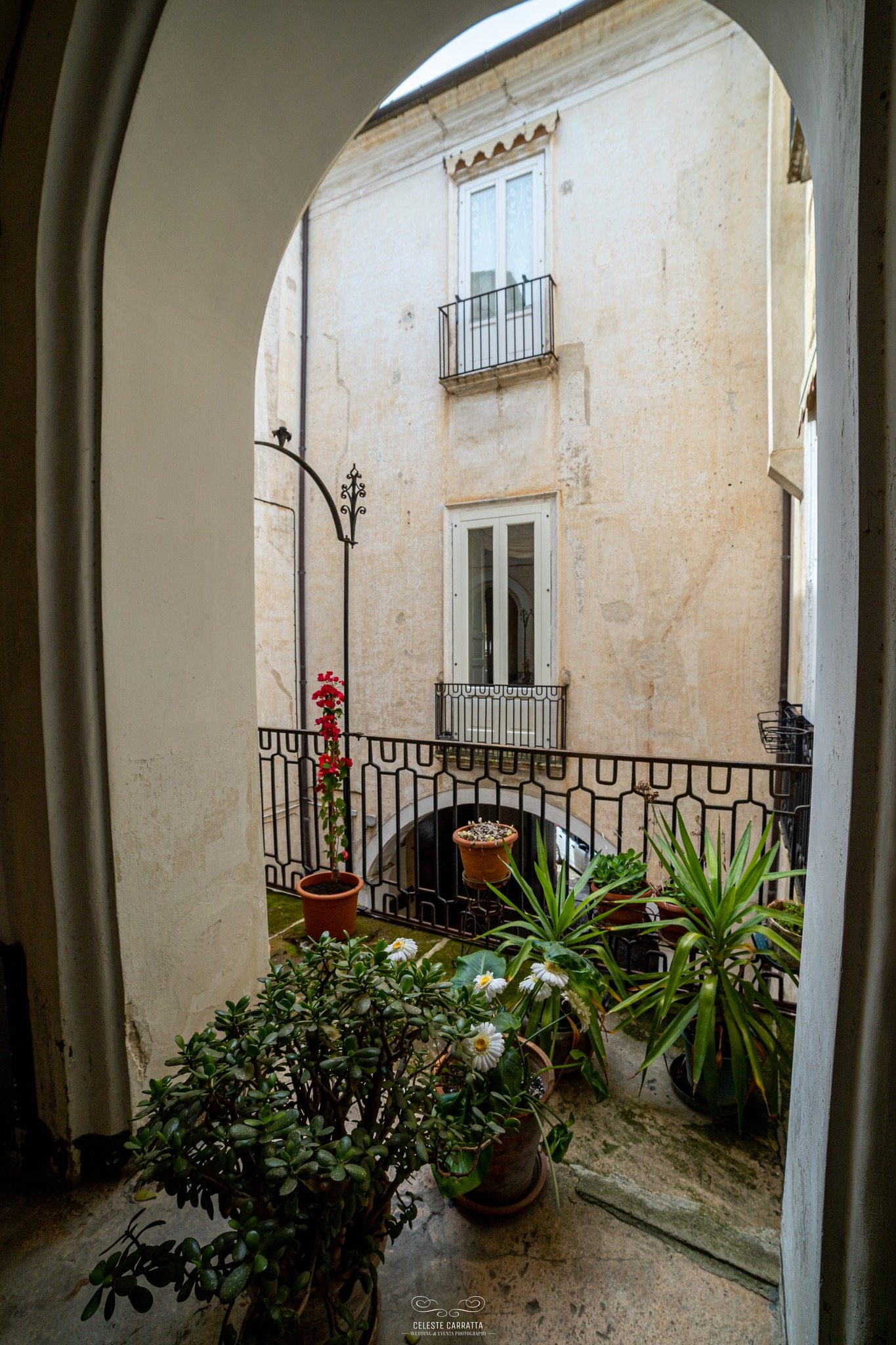 Palazzo Grisolia Dimora Storica Giostra Vecchia ph Celeste Carratta 2 - “Fuori Campo 5”, il cinema d’autore nelle dimore storiche in Calabria - 5 Palazzo Grisolia Dimora Storica Giostra Vecchia ph Celeste Carratta 2 - Meraviglie di Calabria - 4