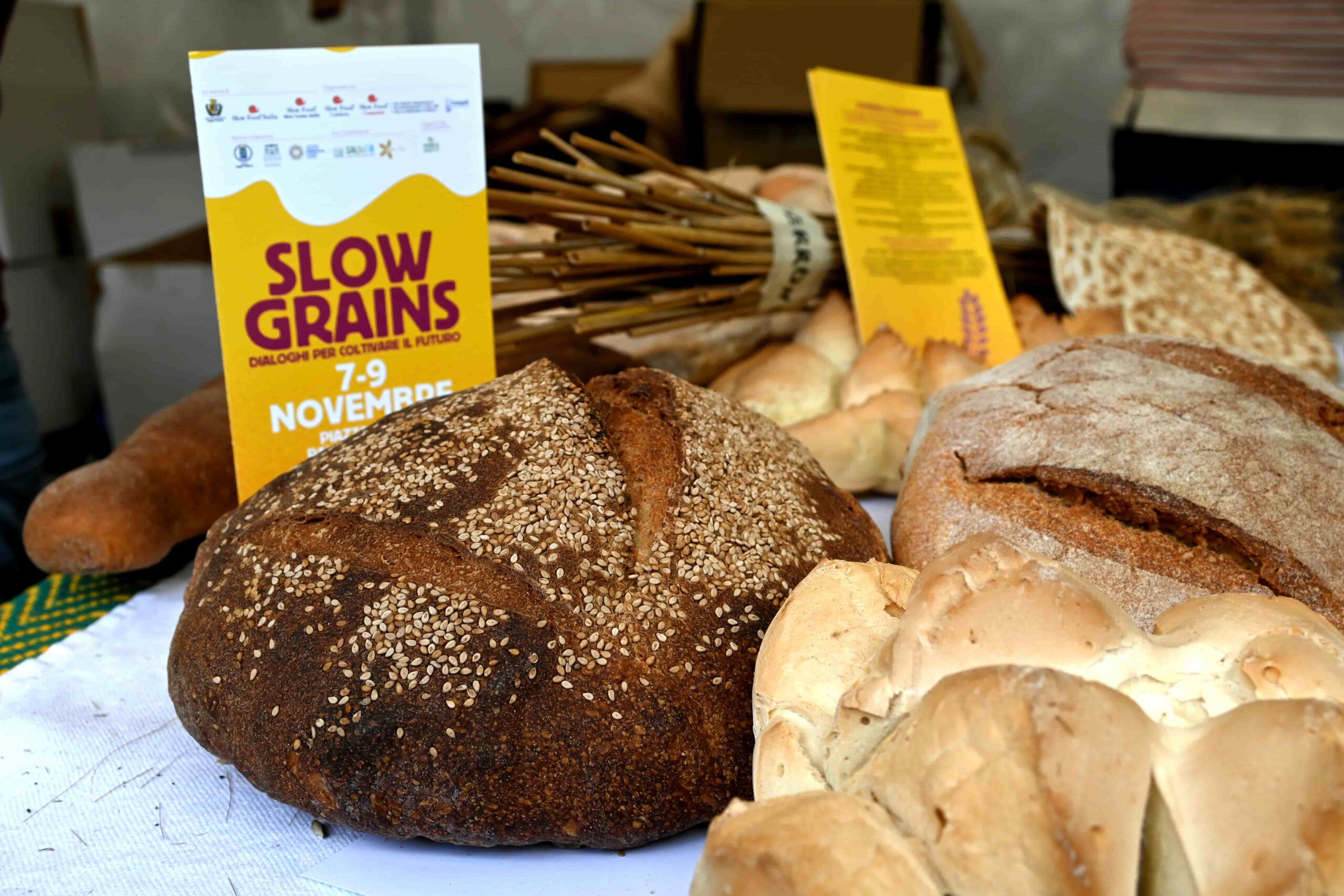 Pane Slow Grains Reggio Calabria © Archivio Slow Food 11 scaled - Meraviglie di Calabria - 28