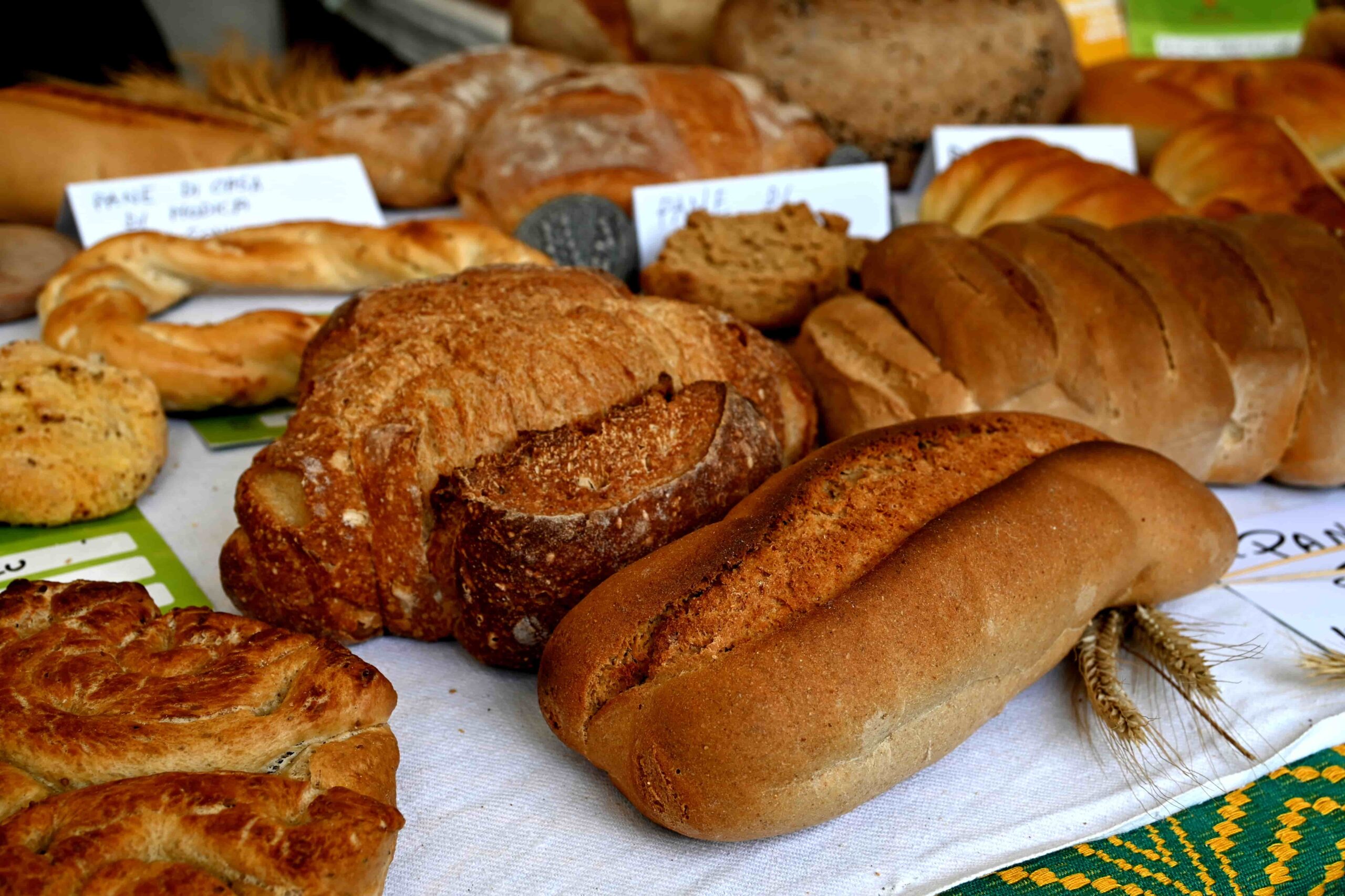 Pane Slow Grains Reggio Calabria © Archivio Slow Food 12 scaled - Meraviglie di Calabria - 26