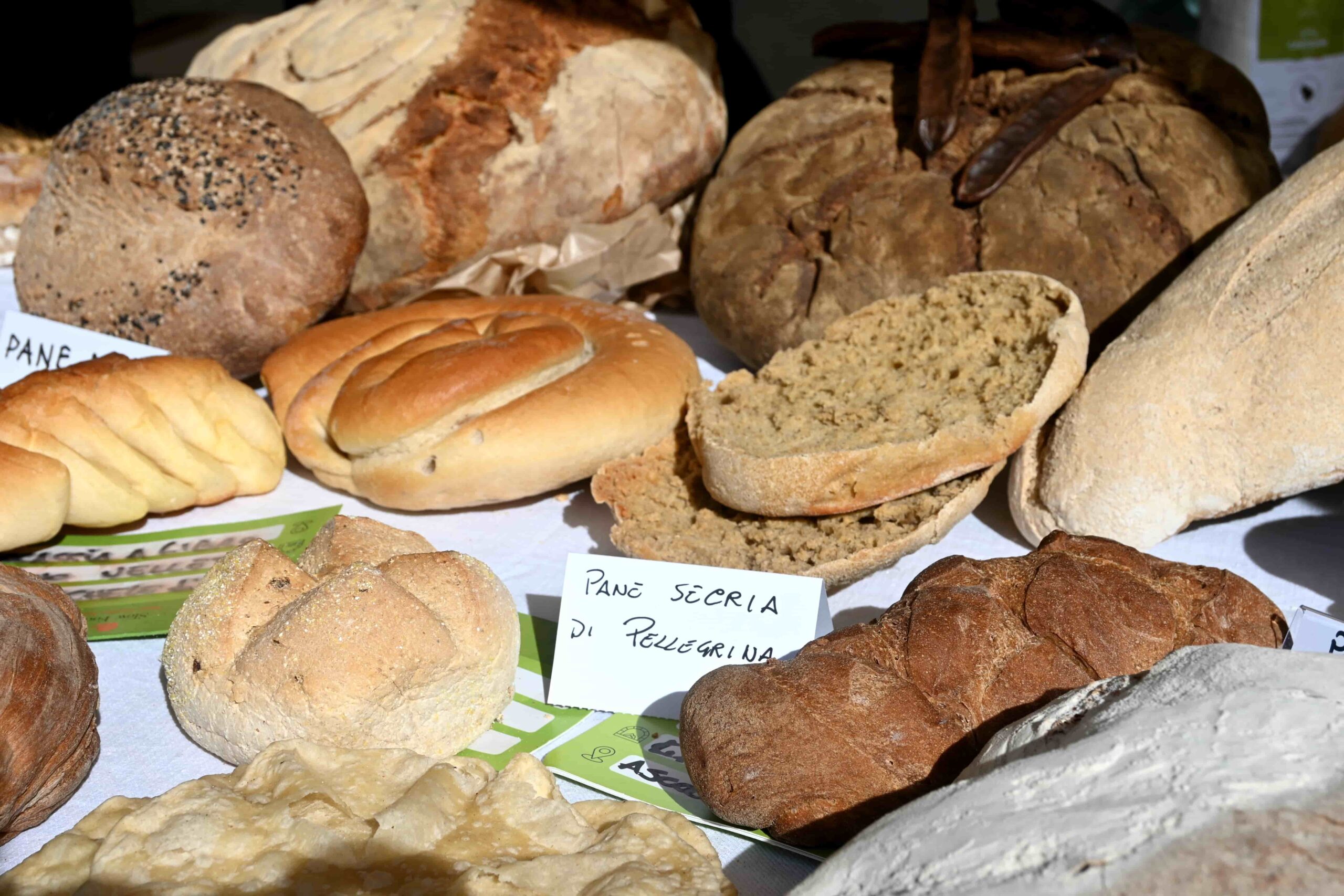 Pane Slow Grains Reggio Calabria © Archivio Slow Food 9 scaled - Meraviglie di Calabria - 34