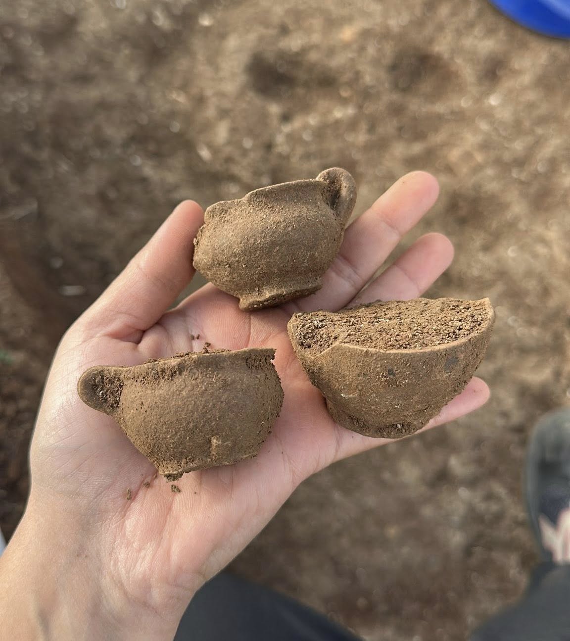 Parchi Archeologici sibari e Kr 1 - Open day agli scavi di Capo Colonna, ancora interessanti ritrovamenti - 11 Parchi Archeologici sibari e Kr 1 - Meraviglie di Calabria - 10