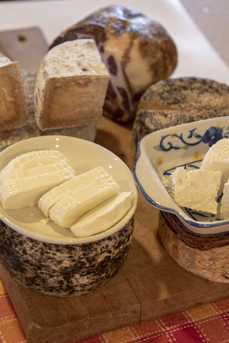 SF0350386 X3 - I caprini d’Aspromonte, tre produttori allevano e trasformano il latte sulla montagna calabrese - 5 SF0350386 X3 - Meraviglie di Calabria - 4