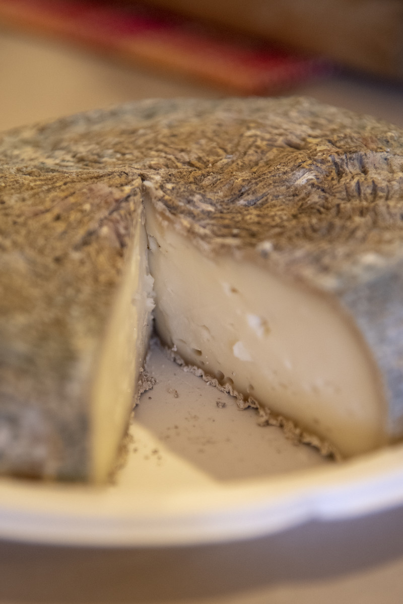 SF0350389 X3 - I caprini d’Aspromonte, tre produttori allevano e trasformano il latte sulla montagna calabrese - 7 SF0350389 X3 - Meraviglie di Calabria - 6