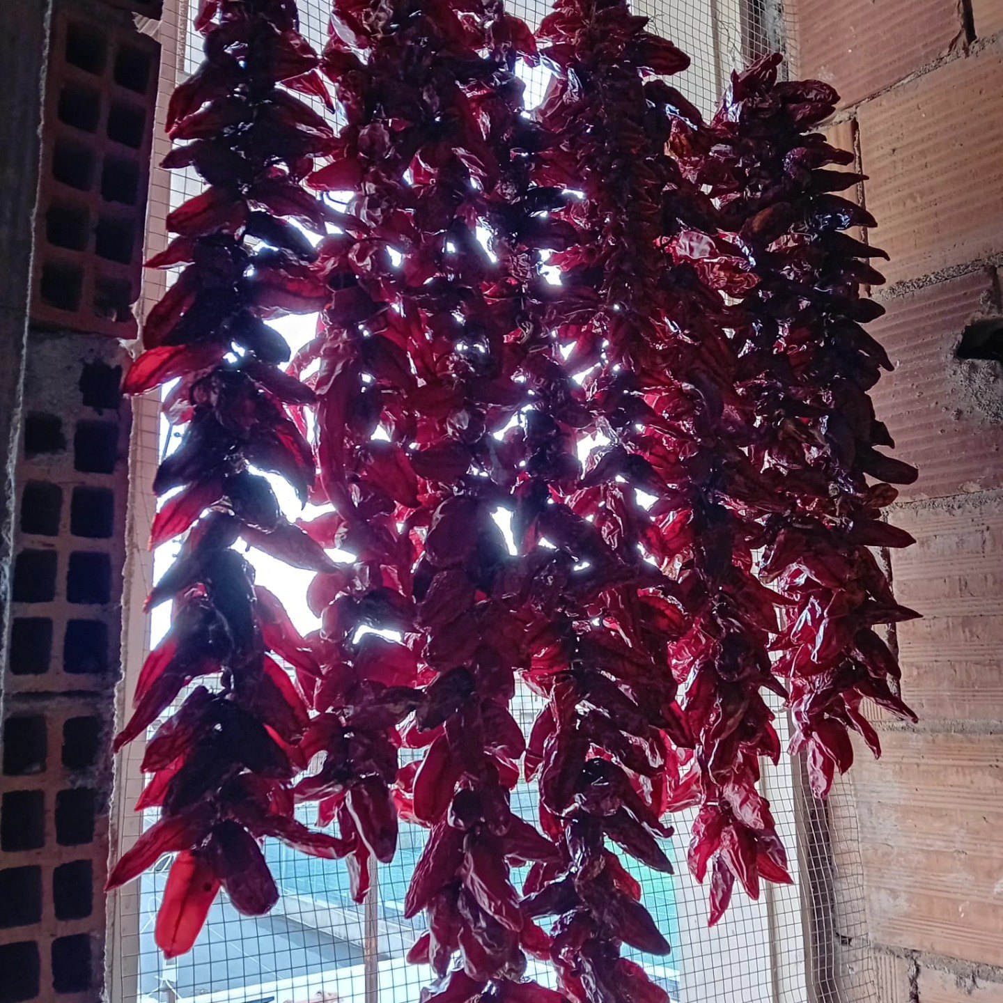 Zafarani - Saluti dalla Calabria, il nuovo format che svela capolavori gastronomici - 11 Zafarani - Meraviglie di Calabria - 10