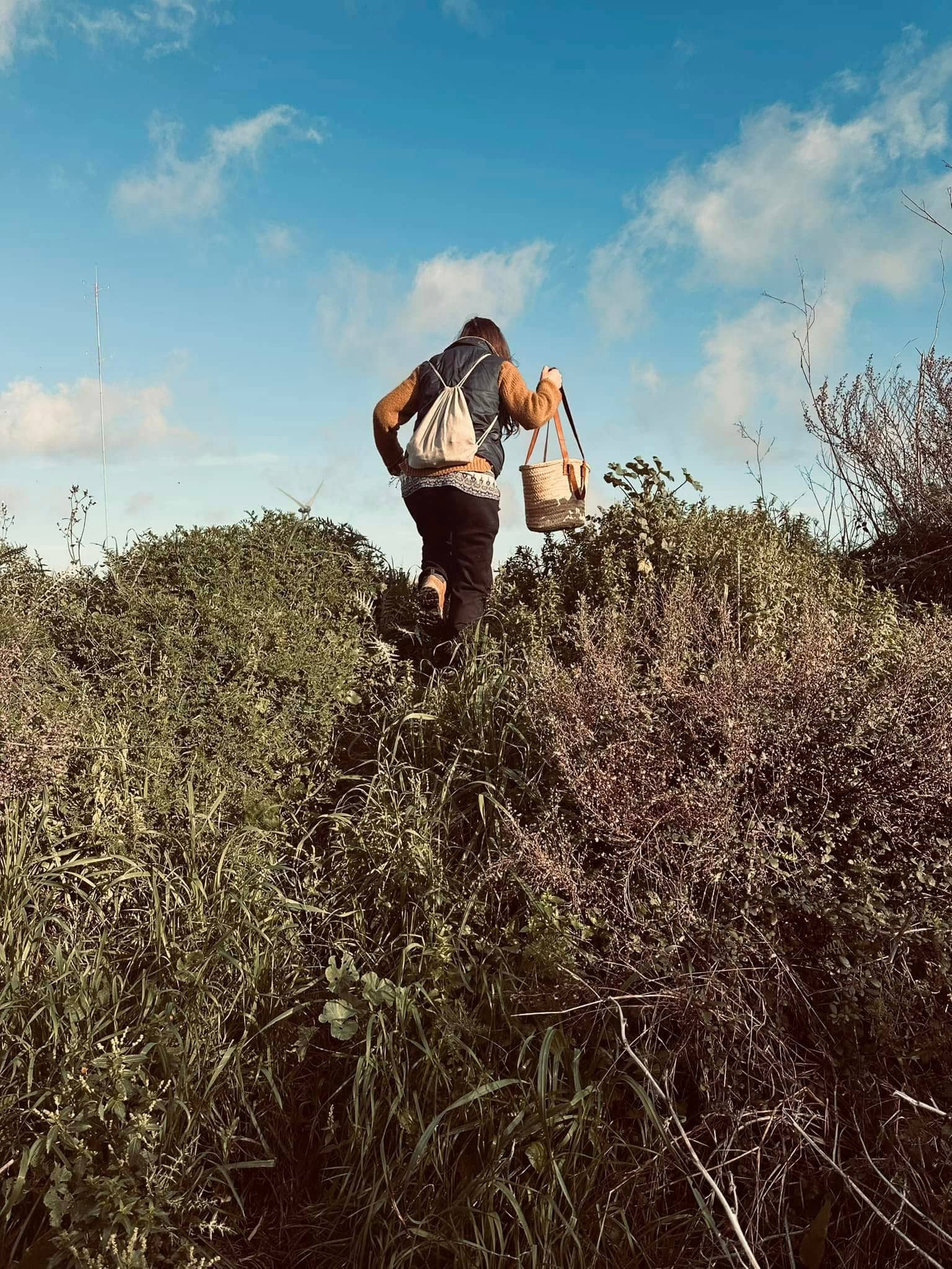 foraging 9 - L’Abbizzé, a passeggio per scoprire le erbe officinali dell’Antica Acerenthia - 13 foraging 9 - Meraviglie di Calabria - 12