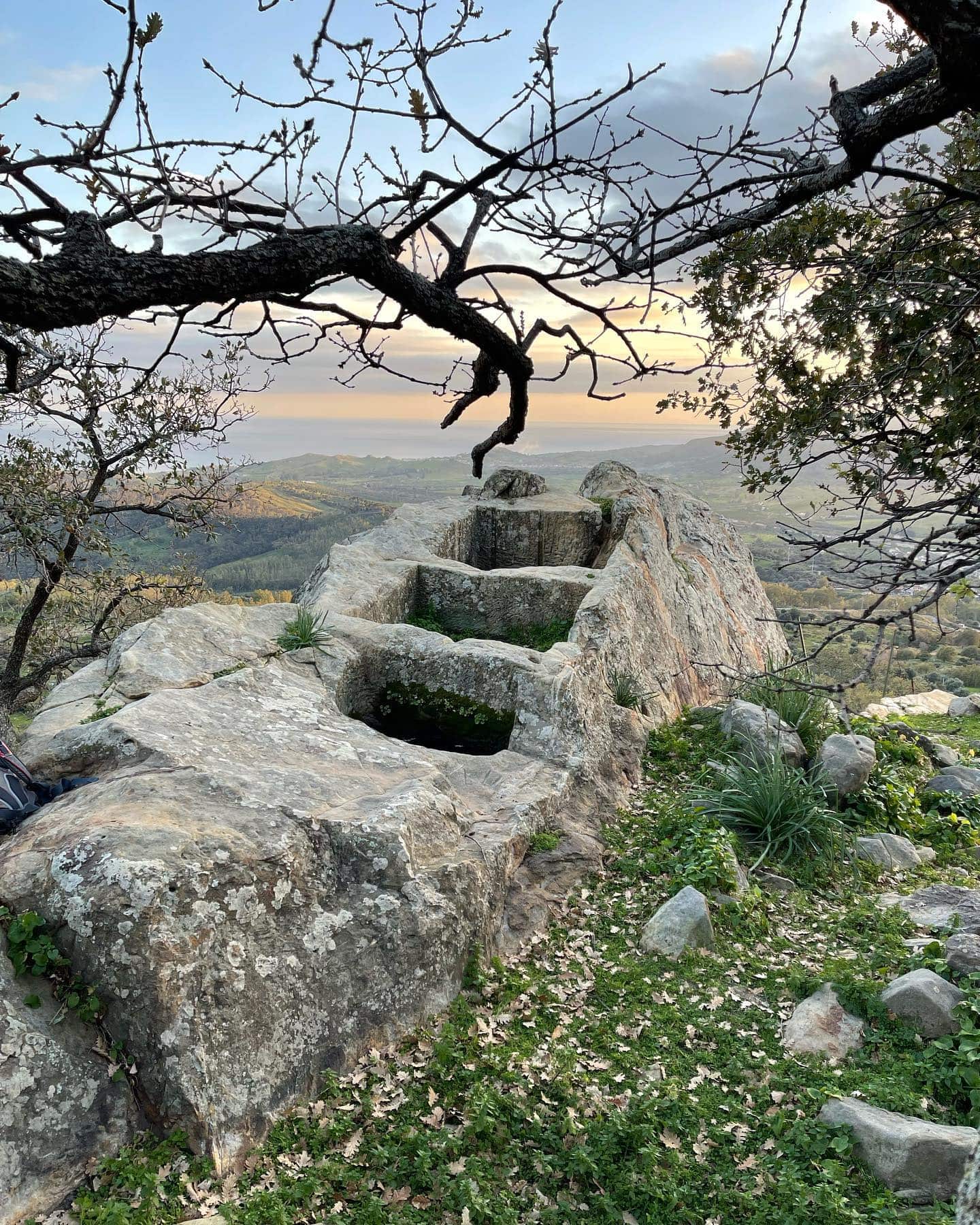 palmento Ferruzzano ph Calabria Wild Wine - I Sentieri dimenticati, in Aspromonte lungo ‘A carrera di Cunsulari' - 5 palmento Ferruzzano ph Calabria Wild Wine - Meraviglie di Calabria - 4