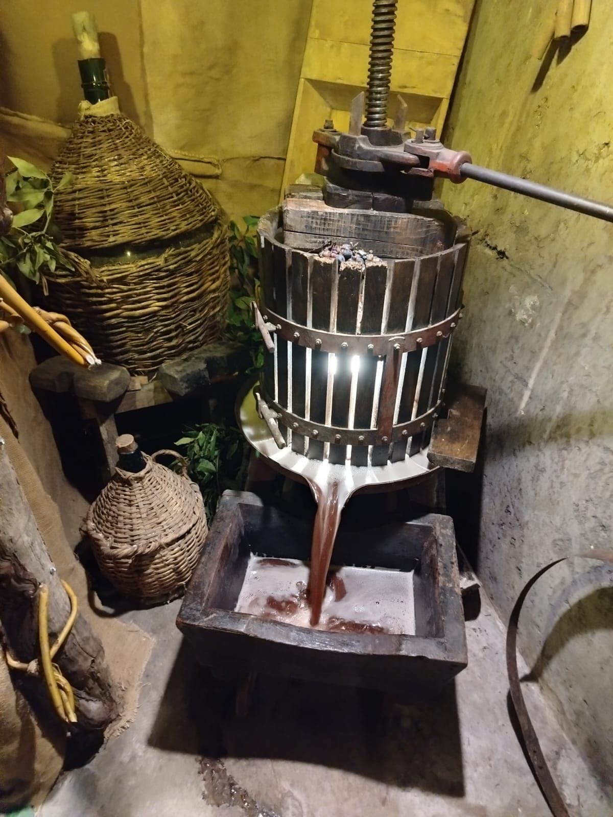 perciavutti 2 - Festa del vino nuovo, il borgo di Mormanno prepara "Perciavutti" - 5 perciavutti 2 - Meraviglie di Calabria - 4