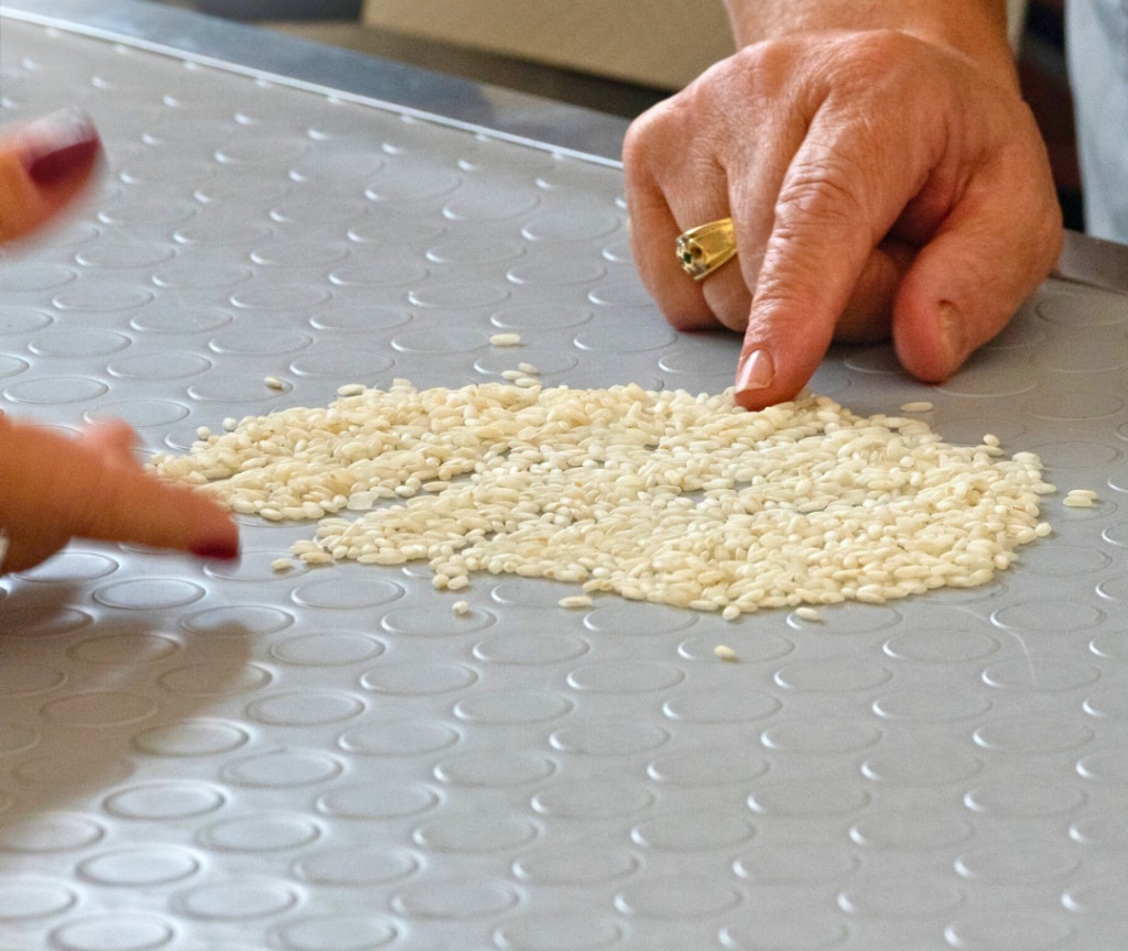 riso magisa 1 a - E se il riso calabrese lo piantassimo in Cina? Ci prova il Magisa di Villapiana - 19 riso magisa 1 a - Meraviglie di Calabria - 18