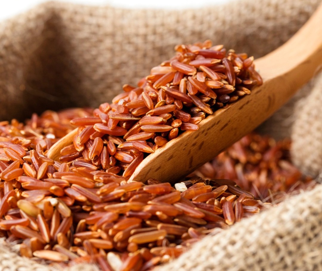 riso magisa 5 a - E se il riso calabrese lo piantassimo in Cina? Ci prova il Magisa di Villapiana - 17 riso magisa 5 a - Meraviglie di Calabria - 16