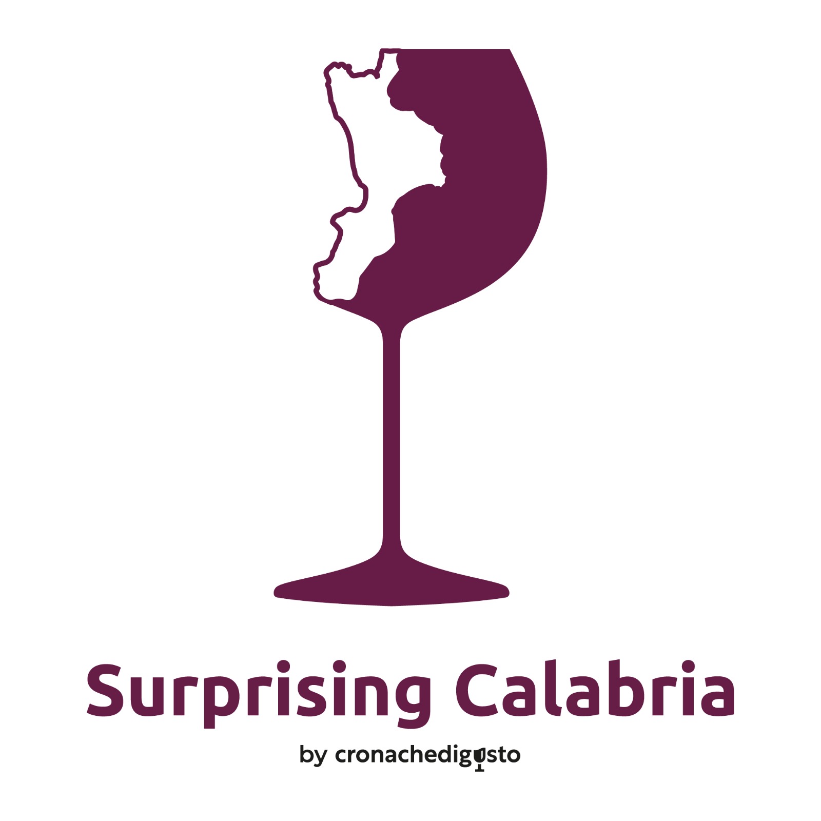 vino surprising calabria - Meraviglie di Calabria - 11