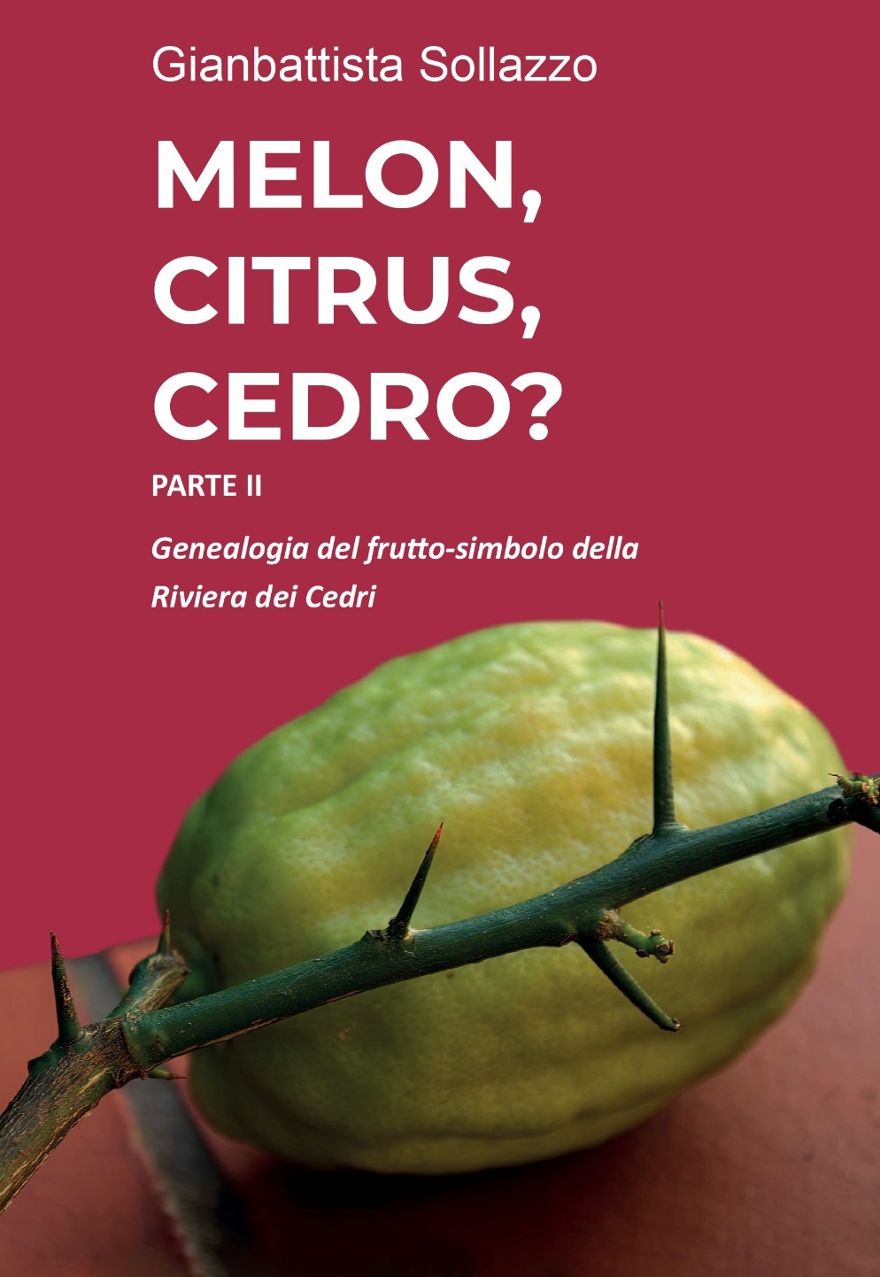 Cedro Arsac Sollazzo - Meraviglie di Calabria - 2